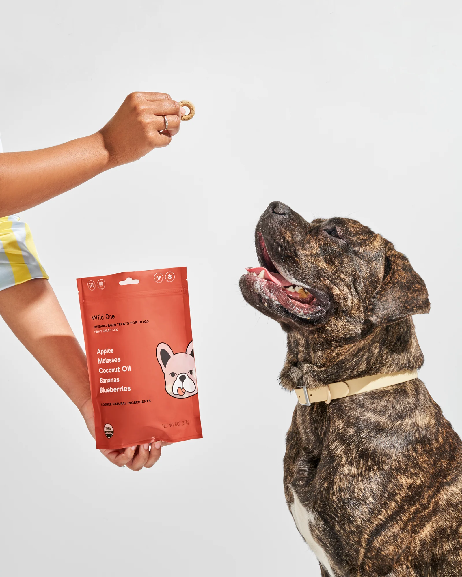 Organic Baked Treats - Image 19