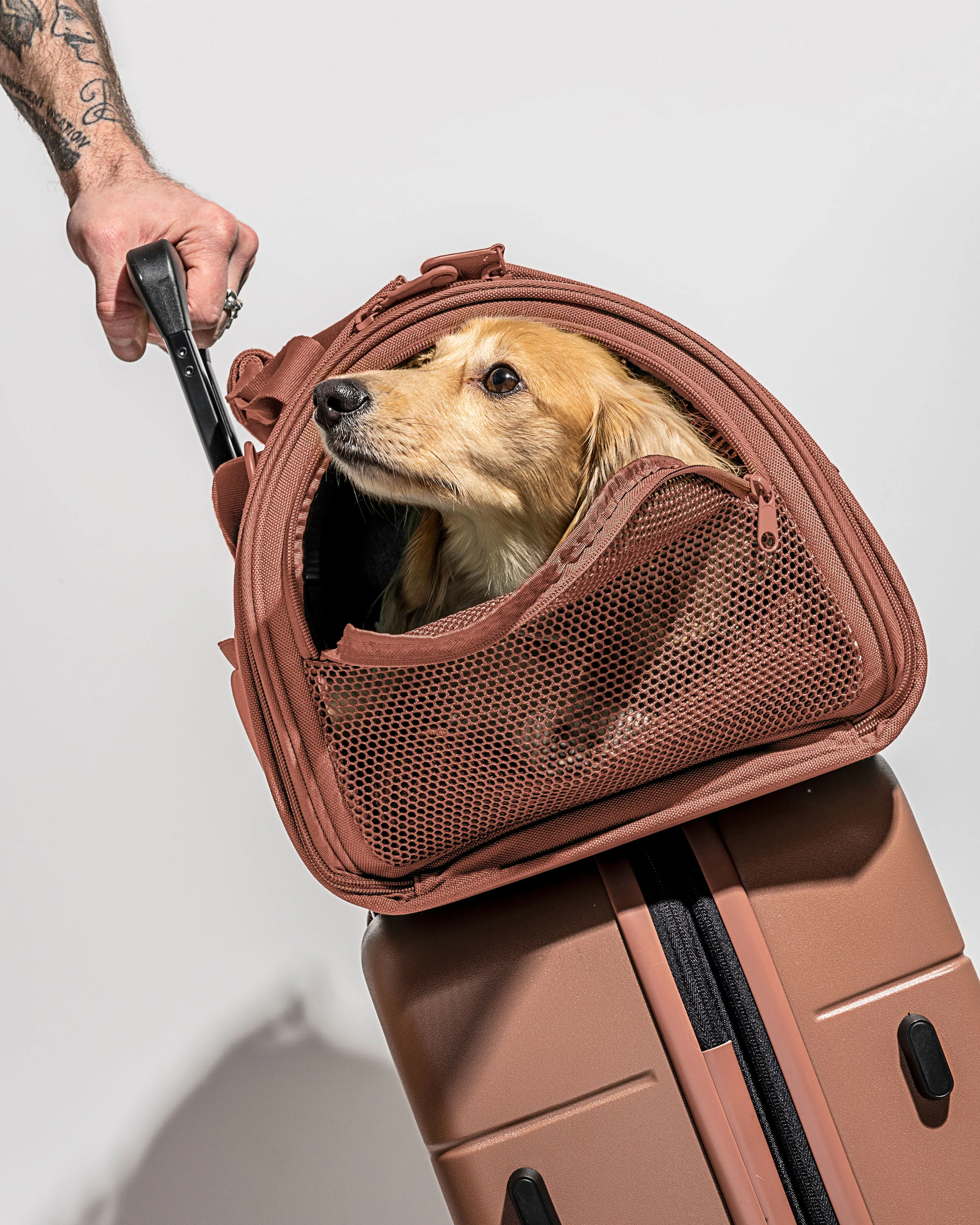 Travel Carrier - Image 16