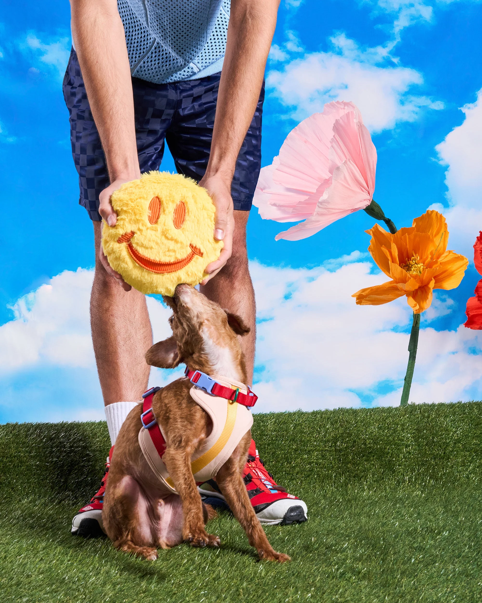 Playful Plush - Image 10