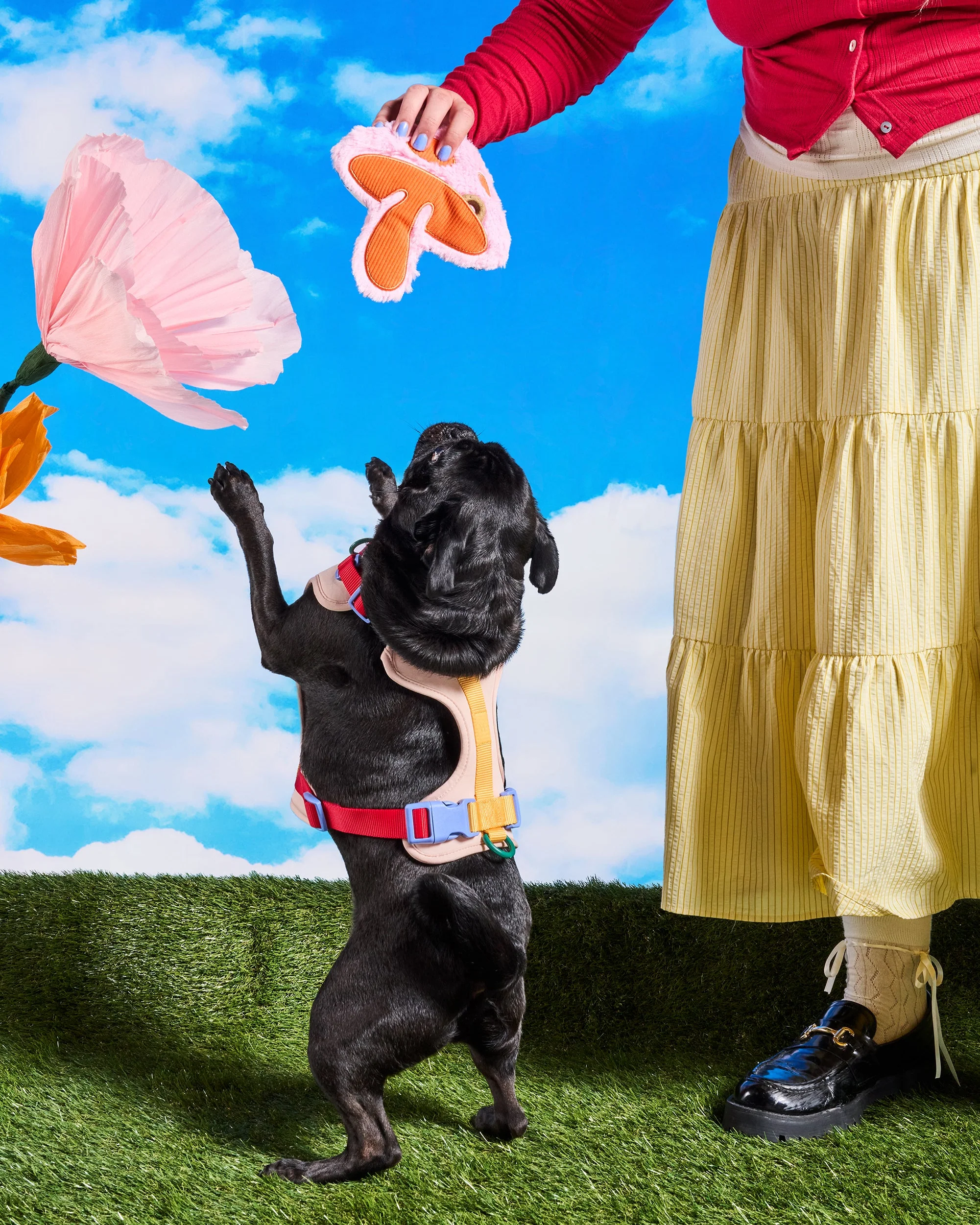 Playful Plush - Image 12