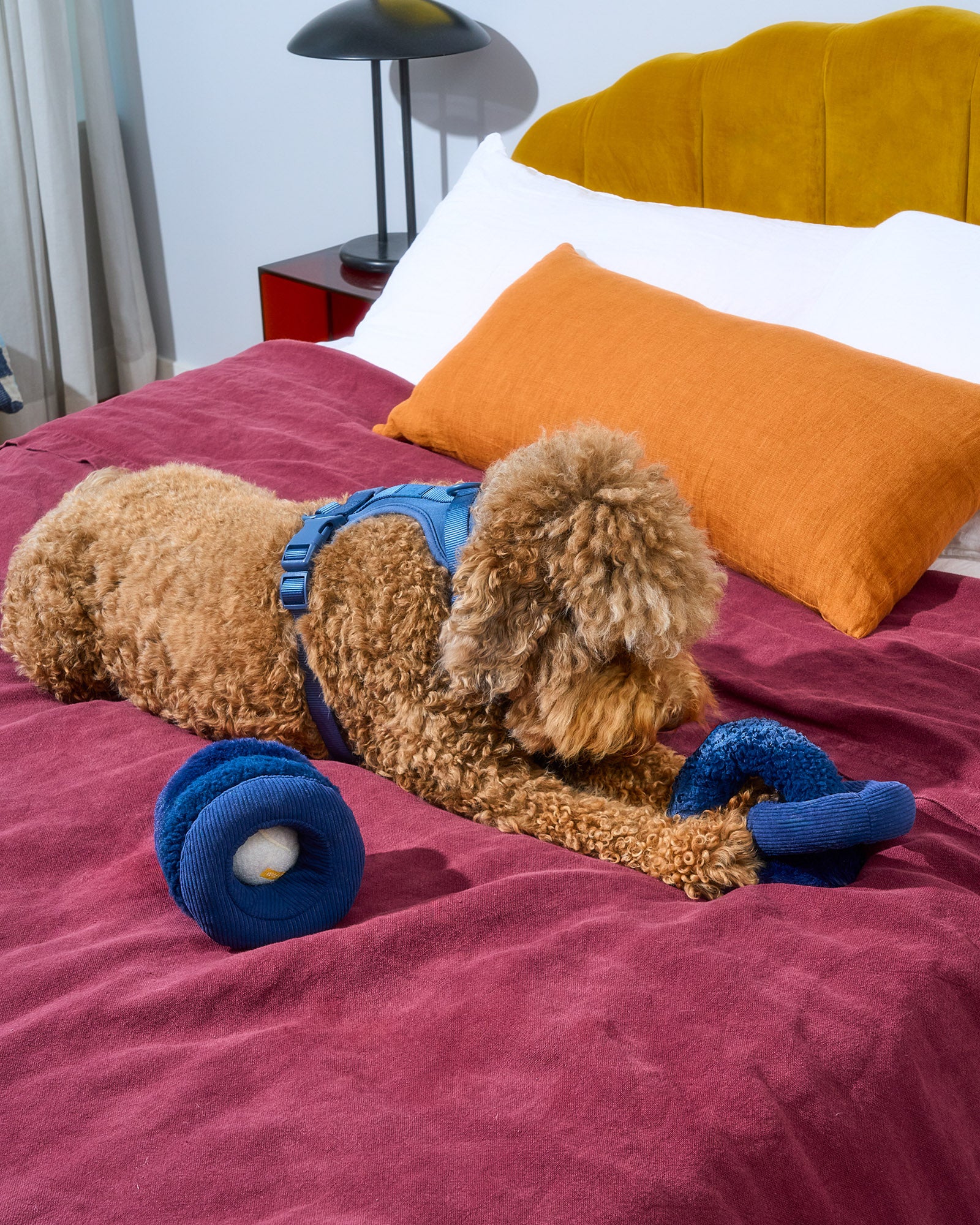 Plush Toy Kit - Image 10