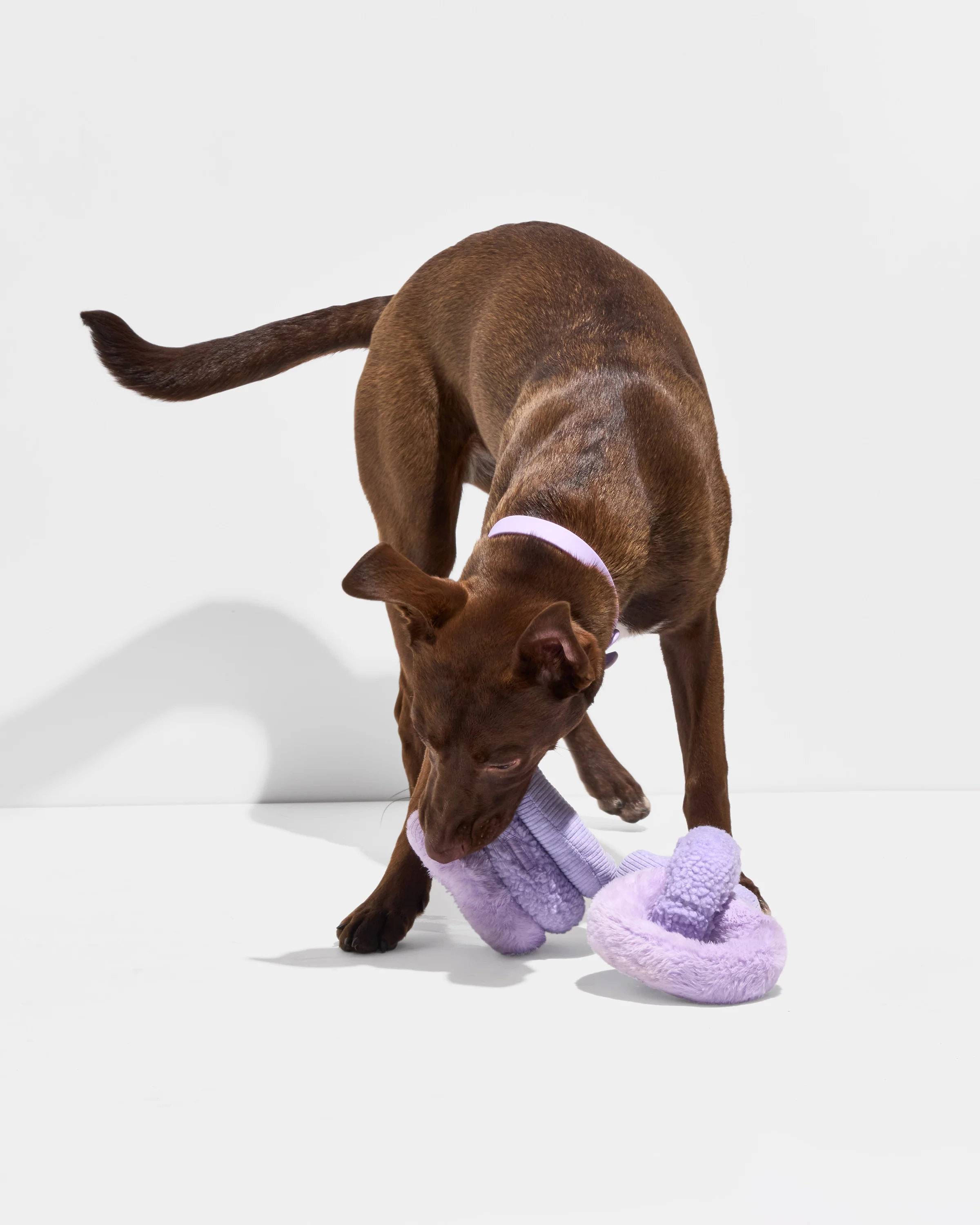 Plush Toy Kit - Image 3