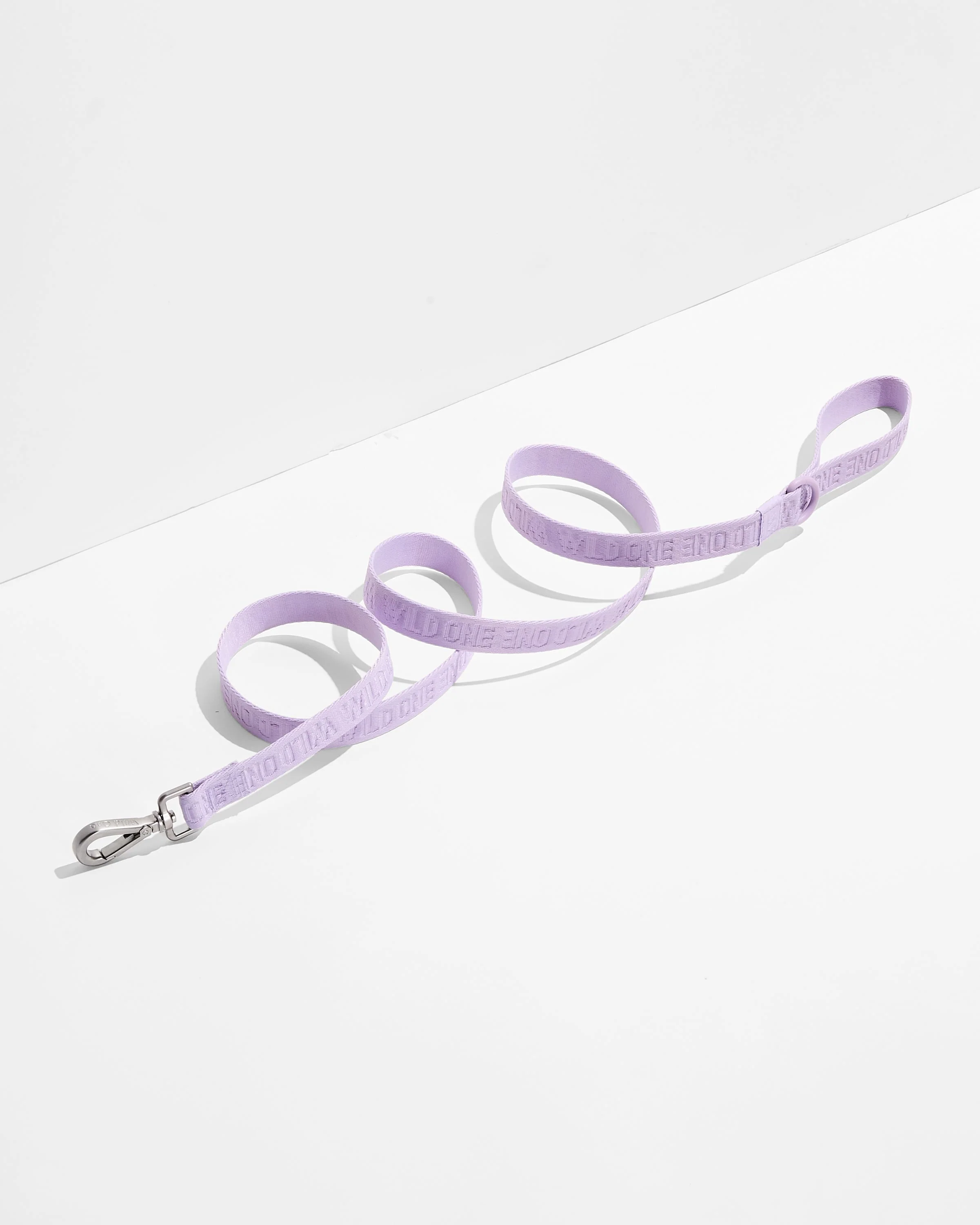 Quick-Release Collar + Lightweight Leash Walk Kit - Image 3