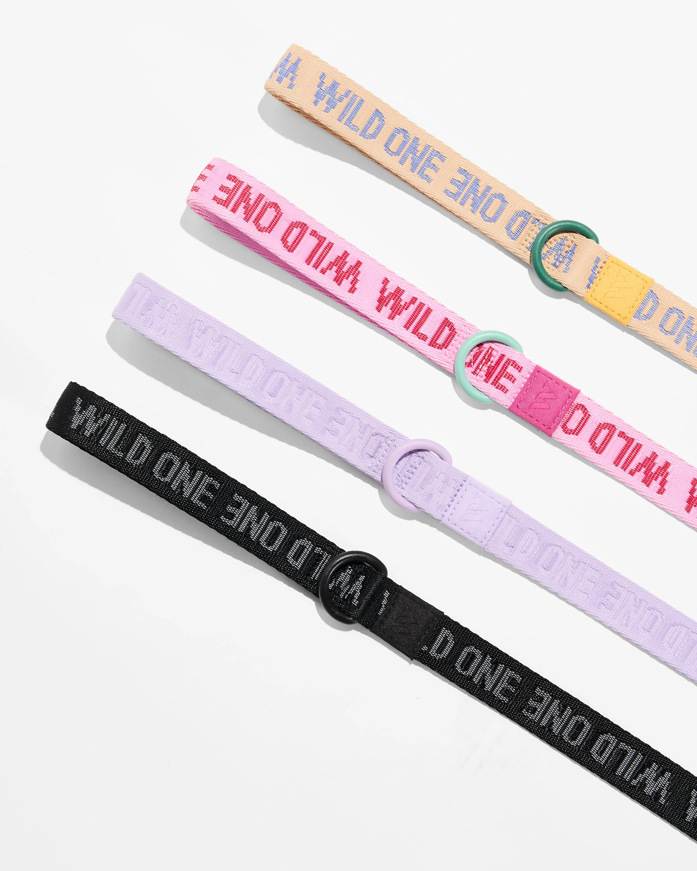 Quick-Release Collar + Lightweight Leash Walk Kit - Image 6