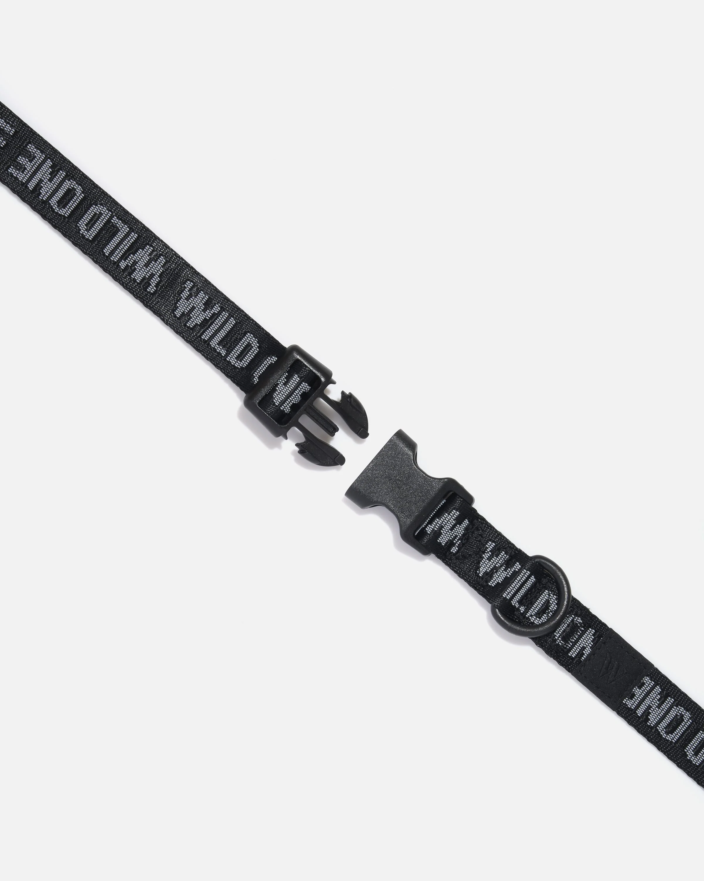 Quick-Release Dog Collar - Image 12