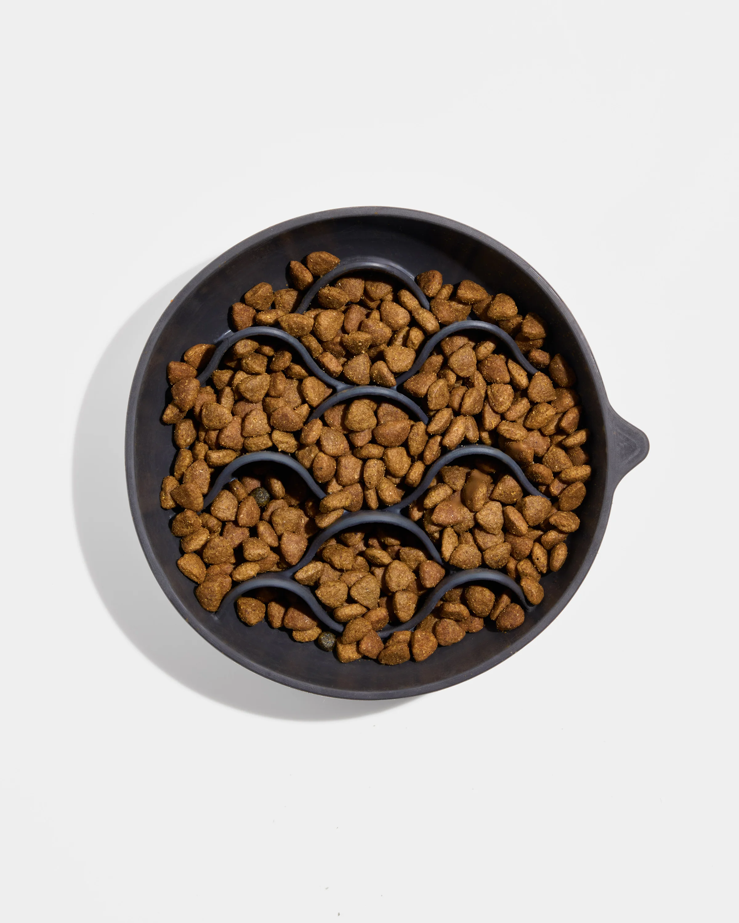 Slow Feeder - Image 4