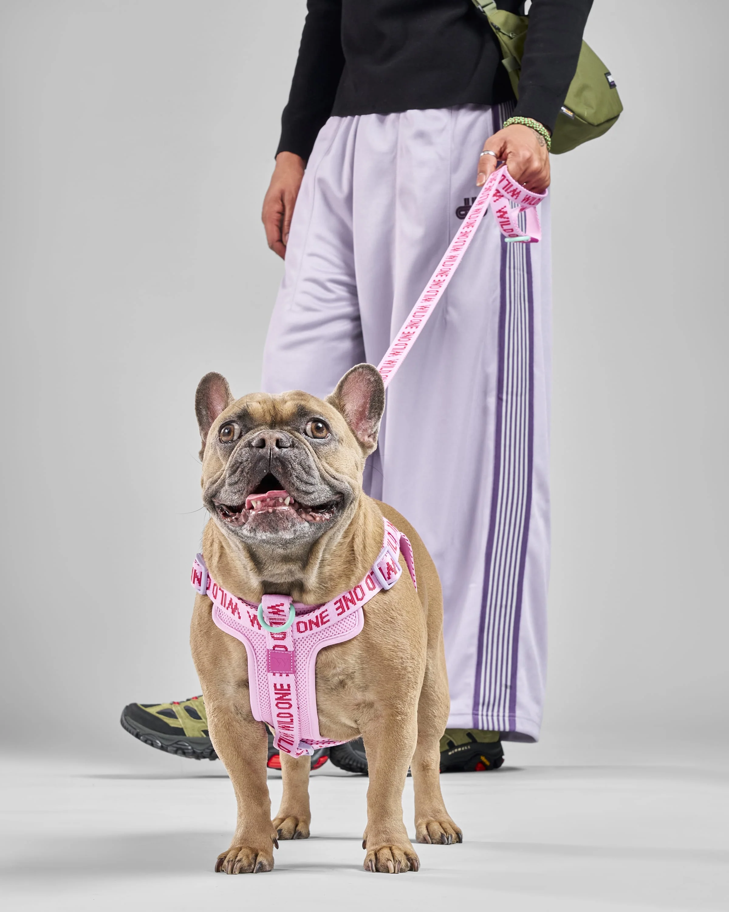 Step-In Dog Harness - Image 11
