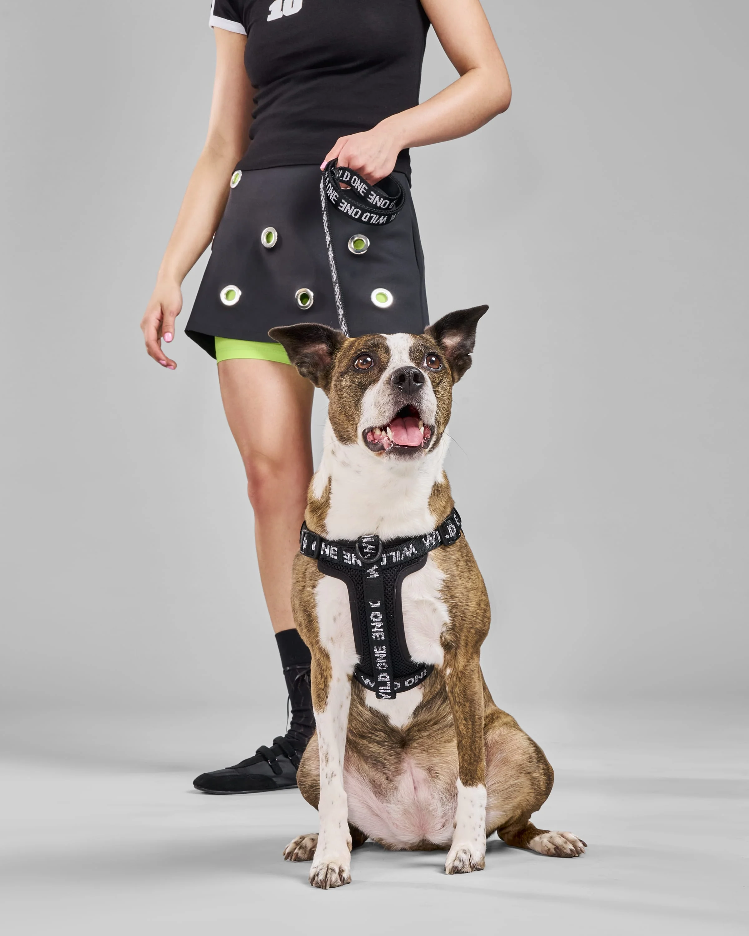 Step-In Dog Harness - Image 17