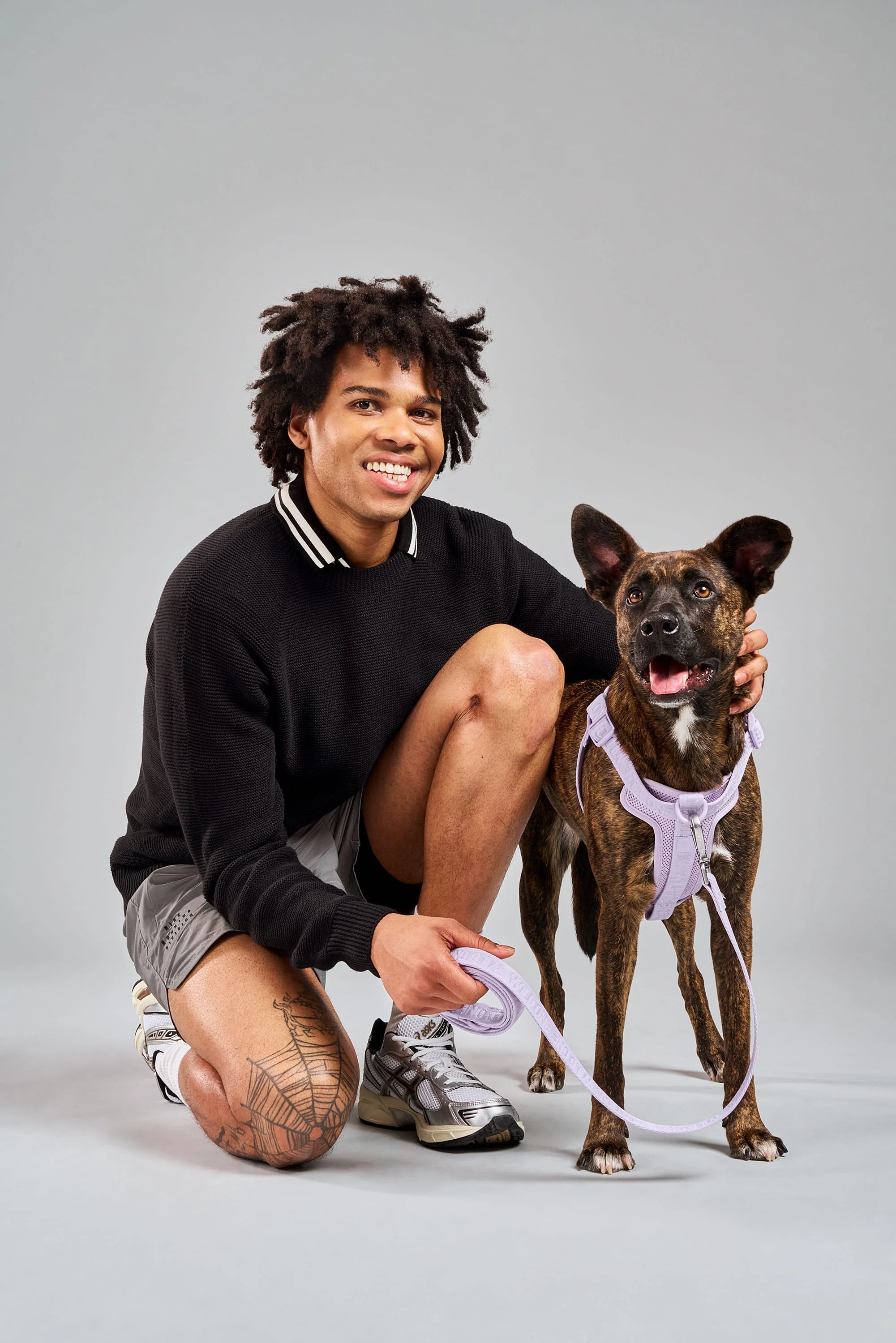 Step-In Dog Harness - Image 22