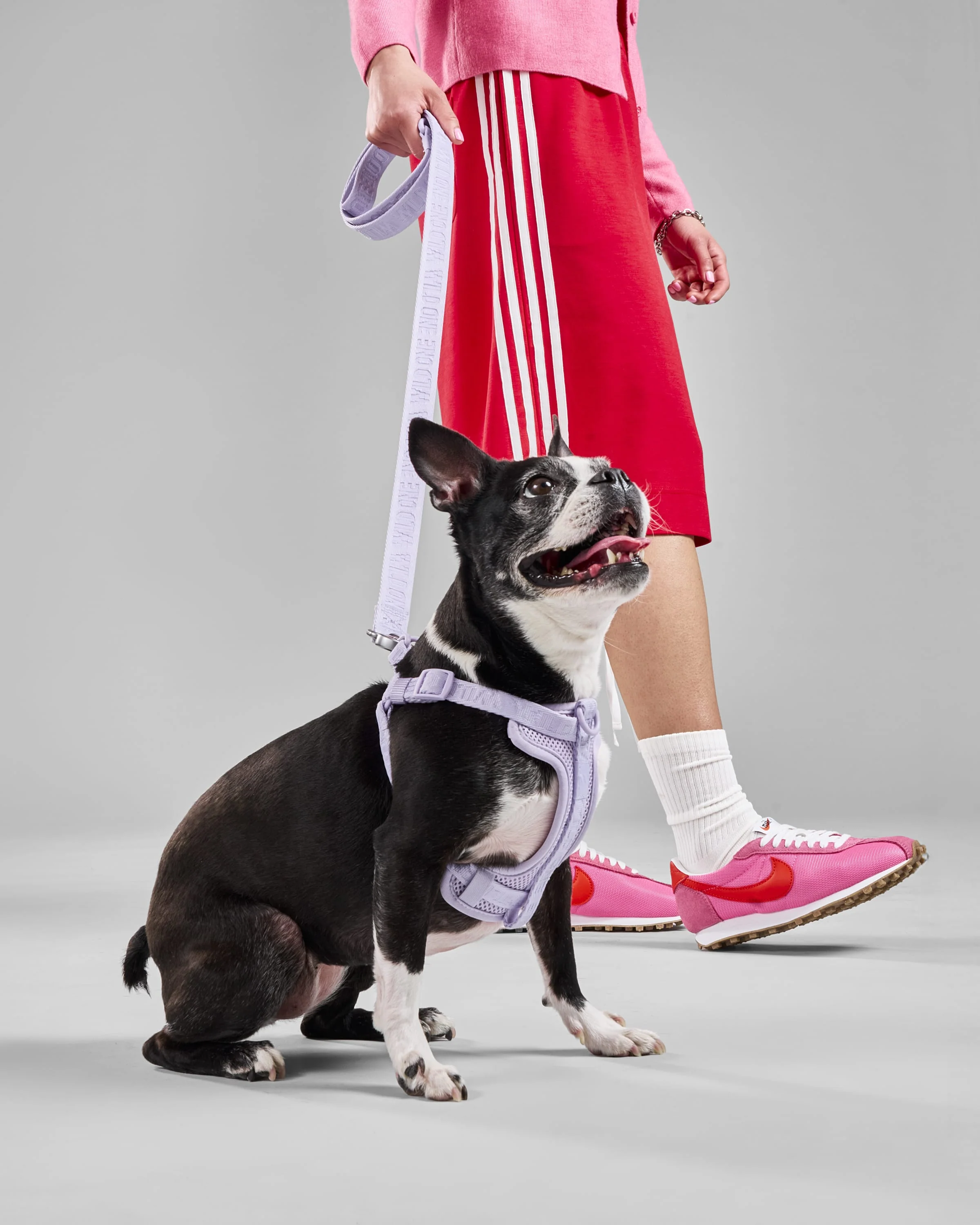 Step-In Dog Harness - Image 23