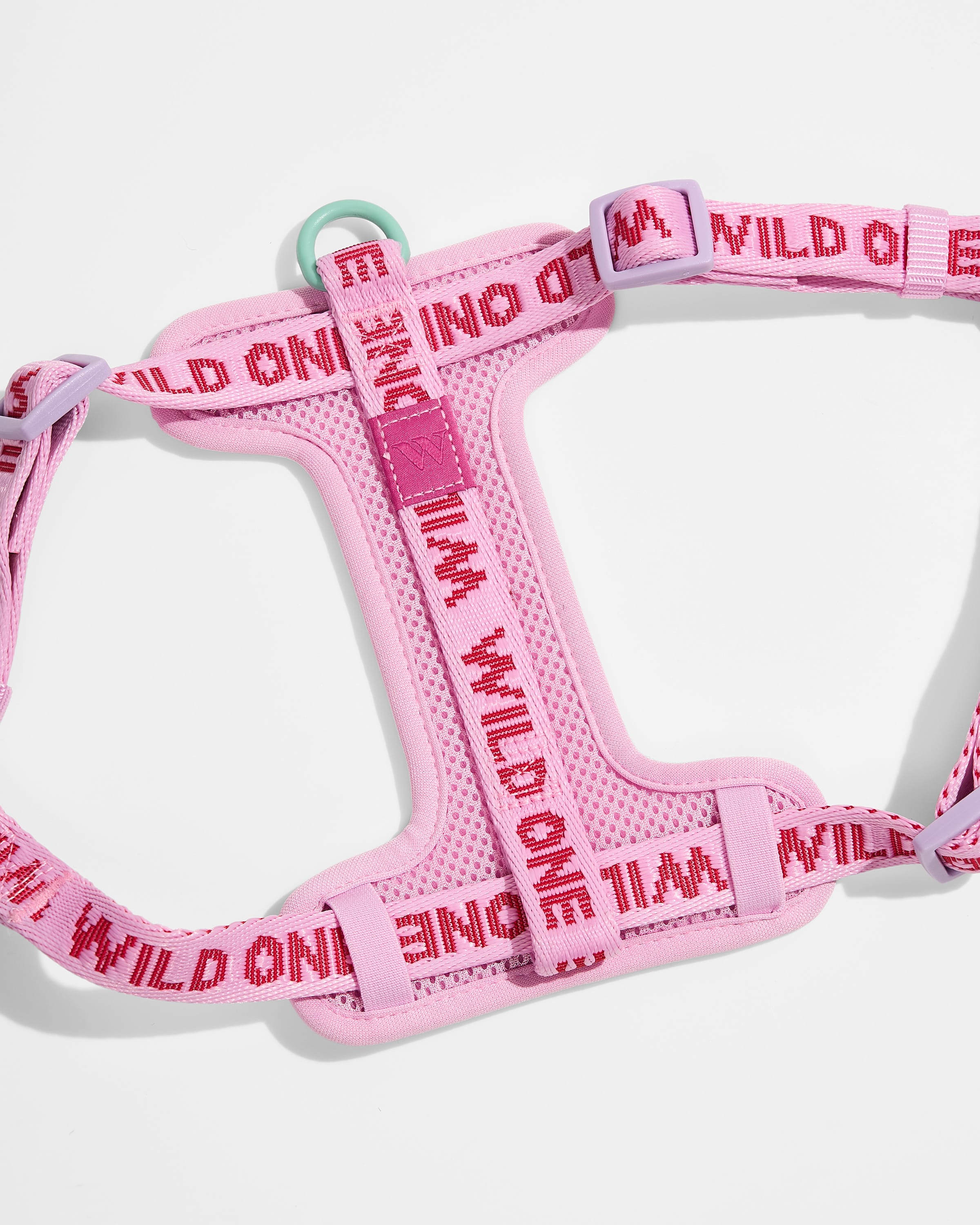 Step-In Harness + Lightweight Leash Walk Kit - Image 3