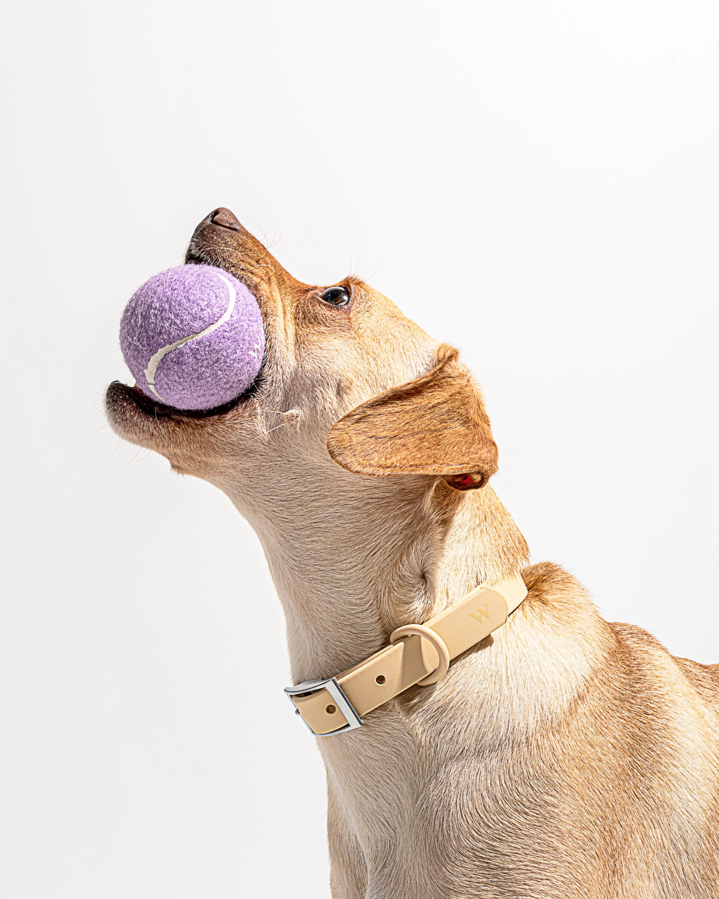 Tennis Balls - Image 10