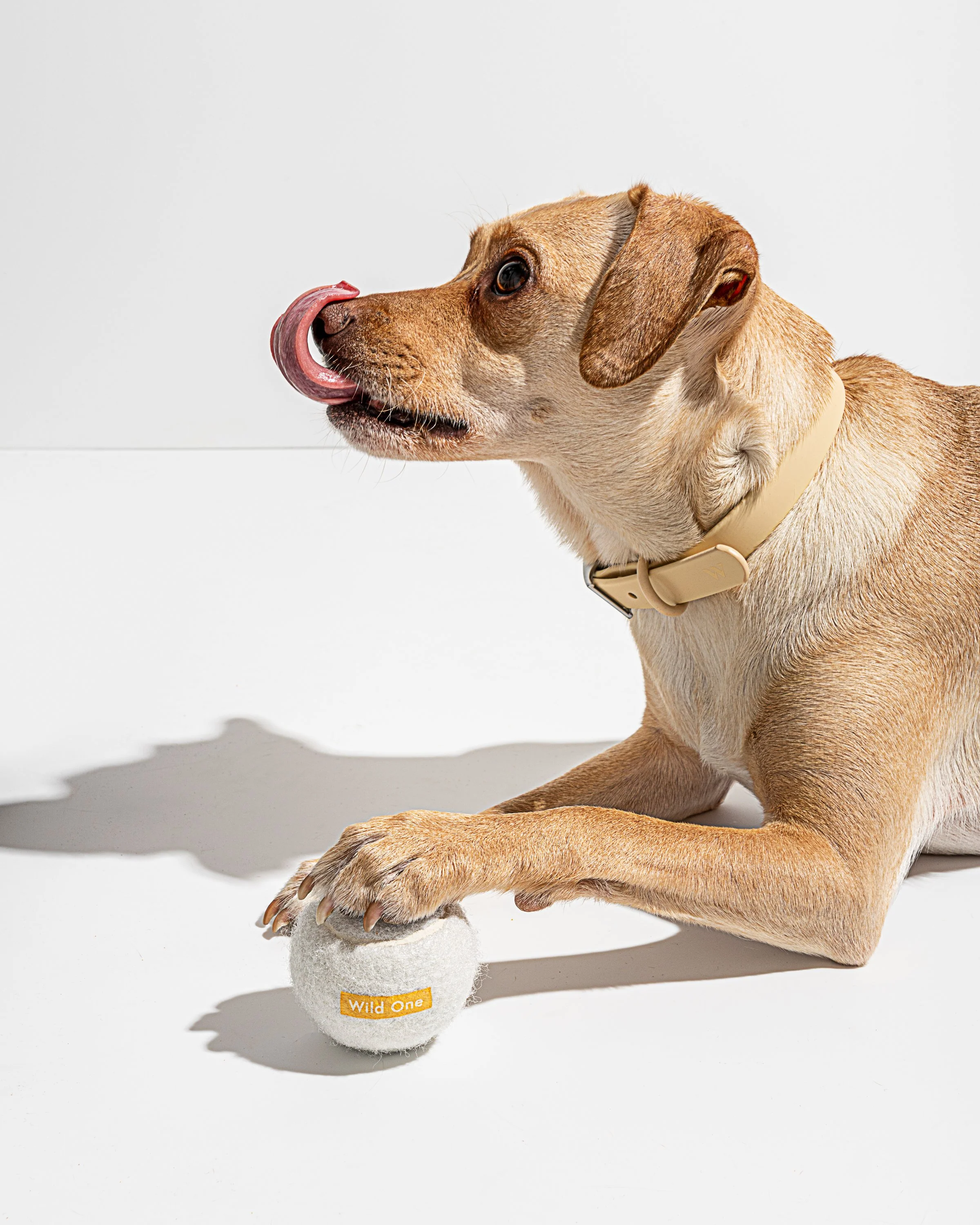 Tennis Balls - Image 17