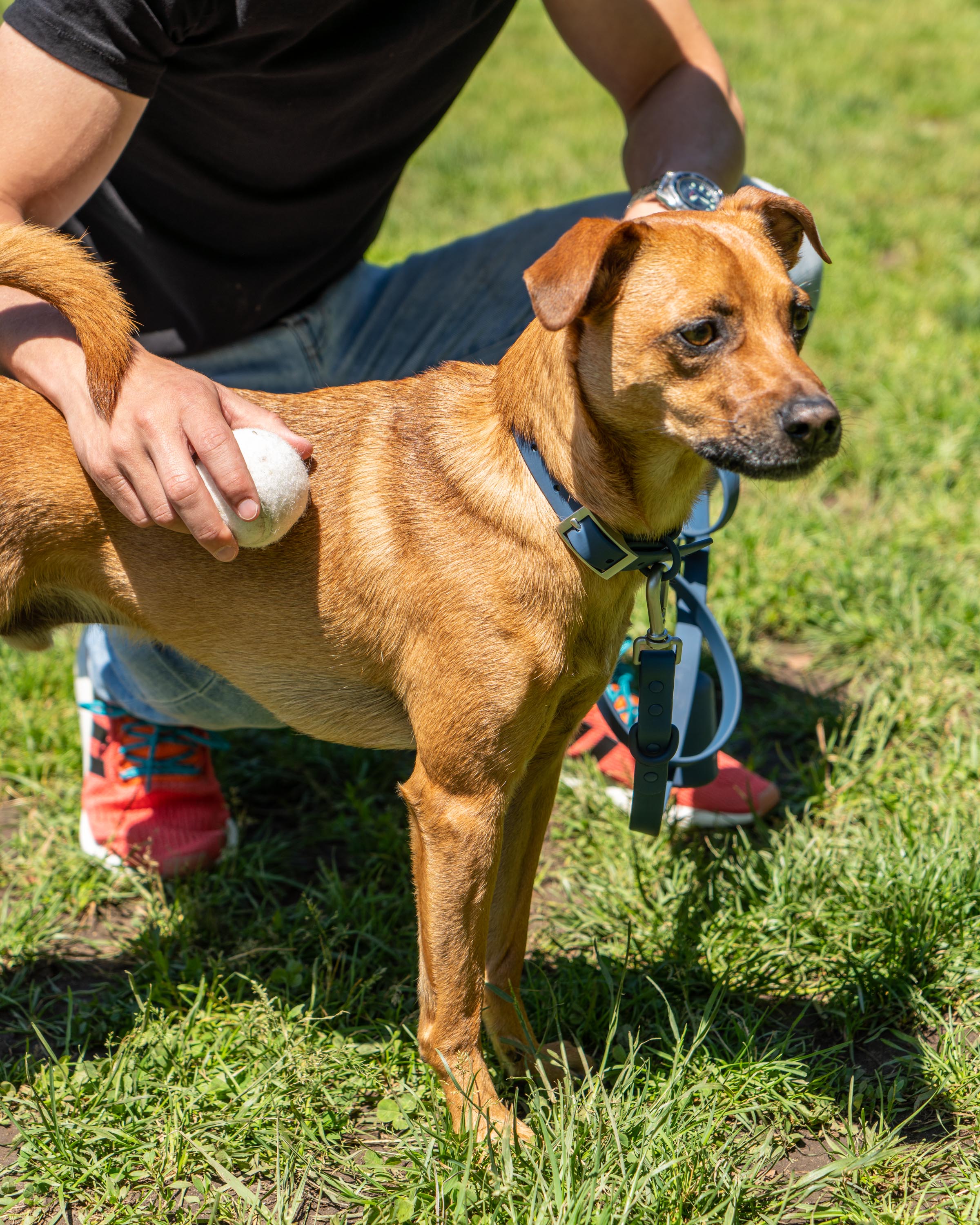 Tennis Balls - Image 18