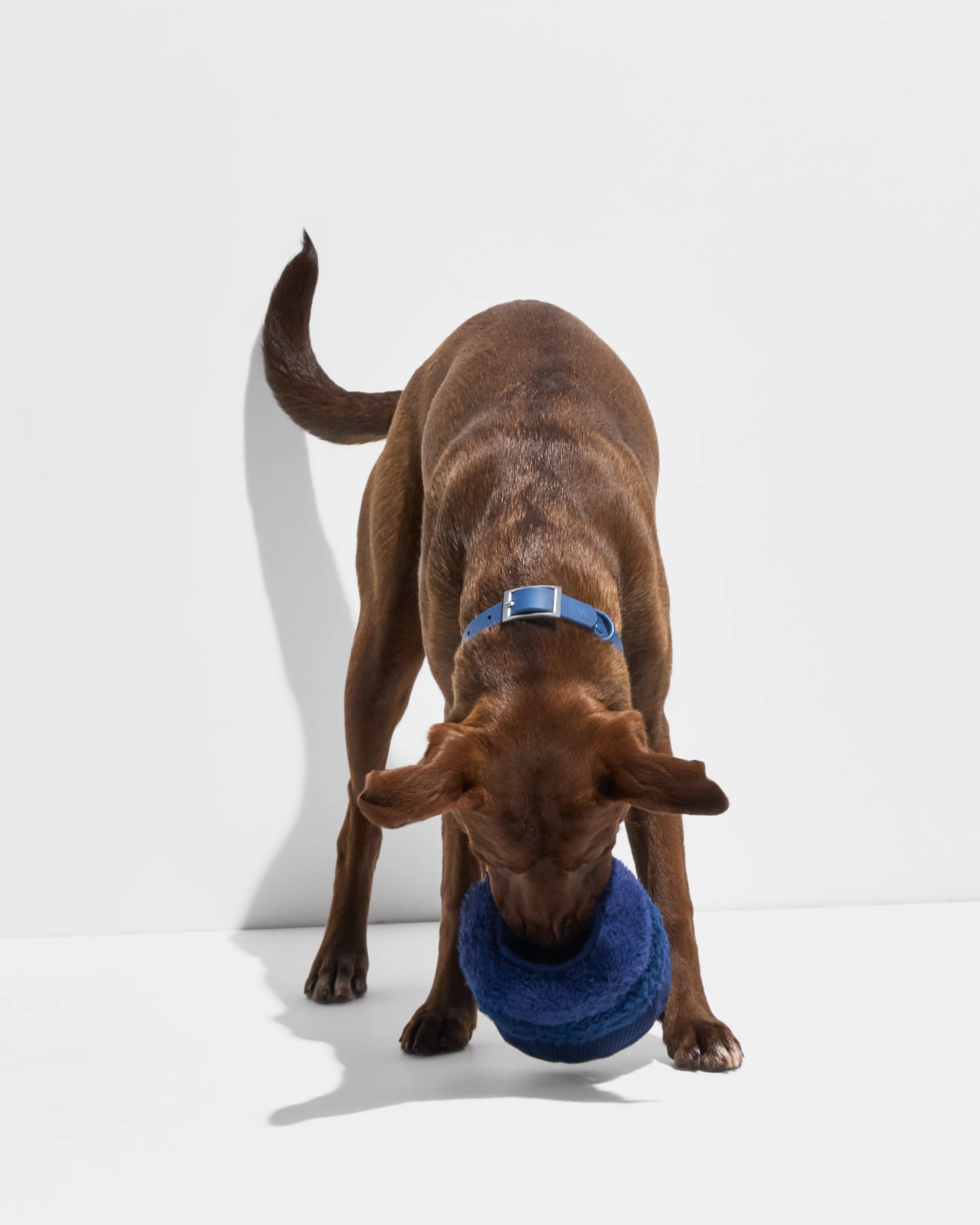 Tennis Tuft - Image 10