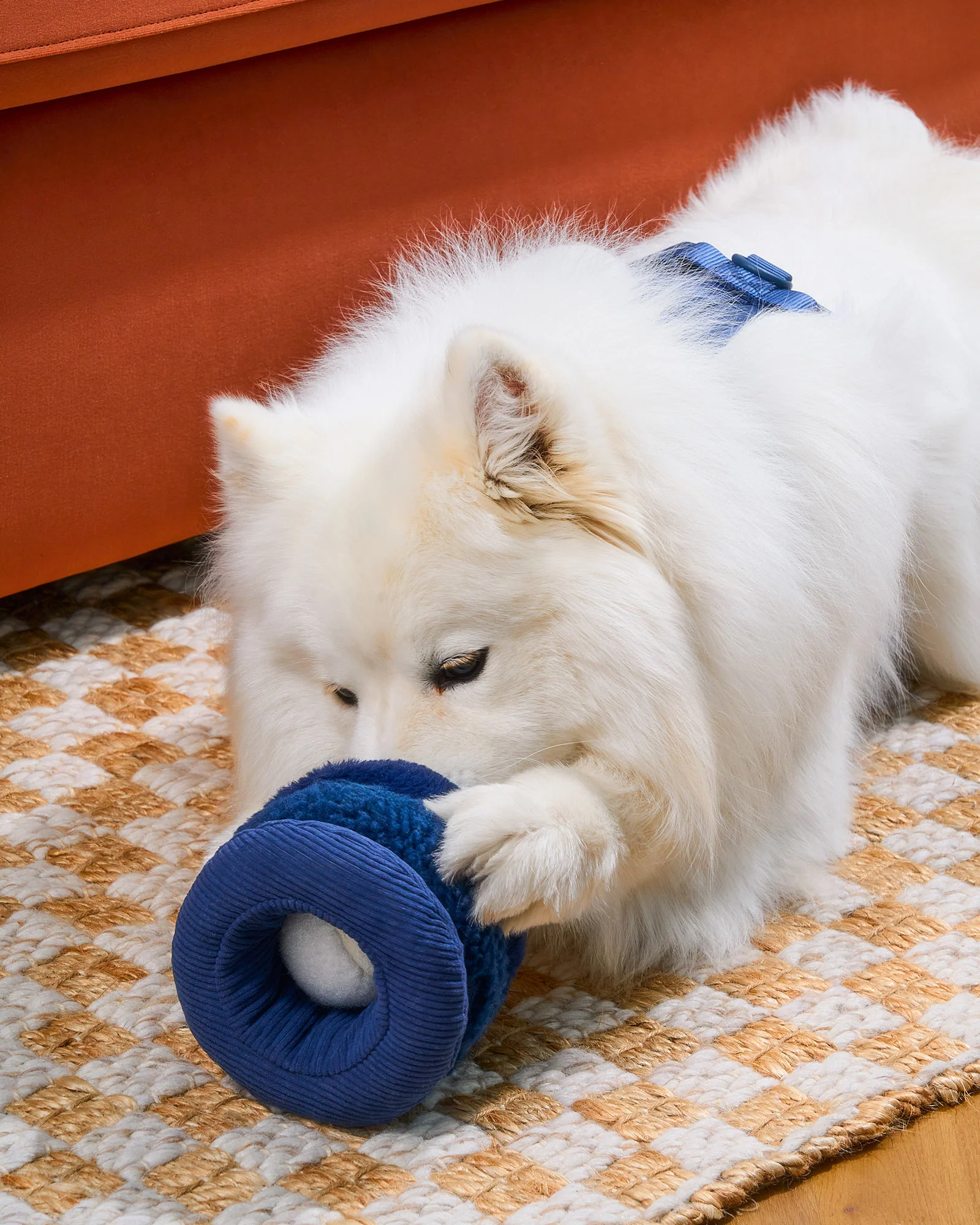 Tennis Tuft - Image 12