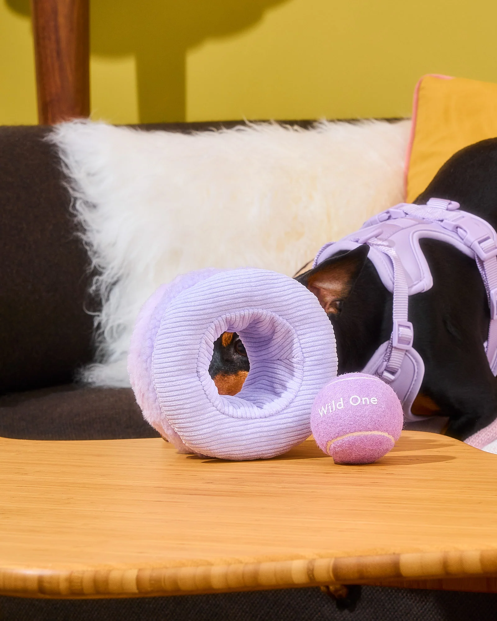 Tennis Tuft - Image 8