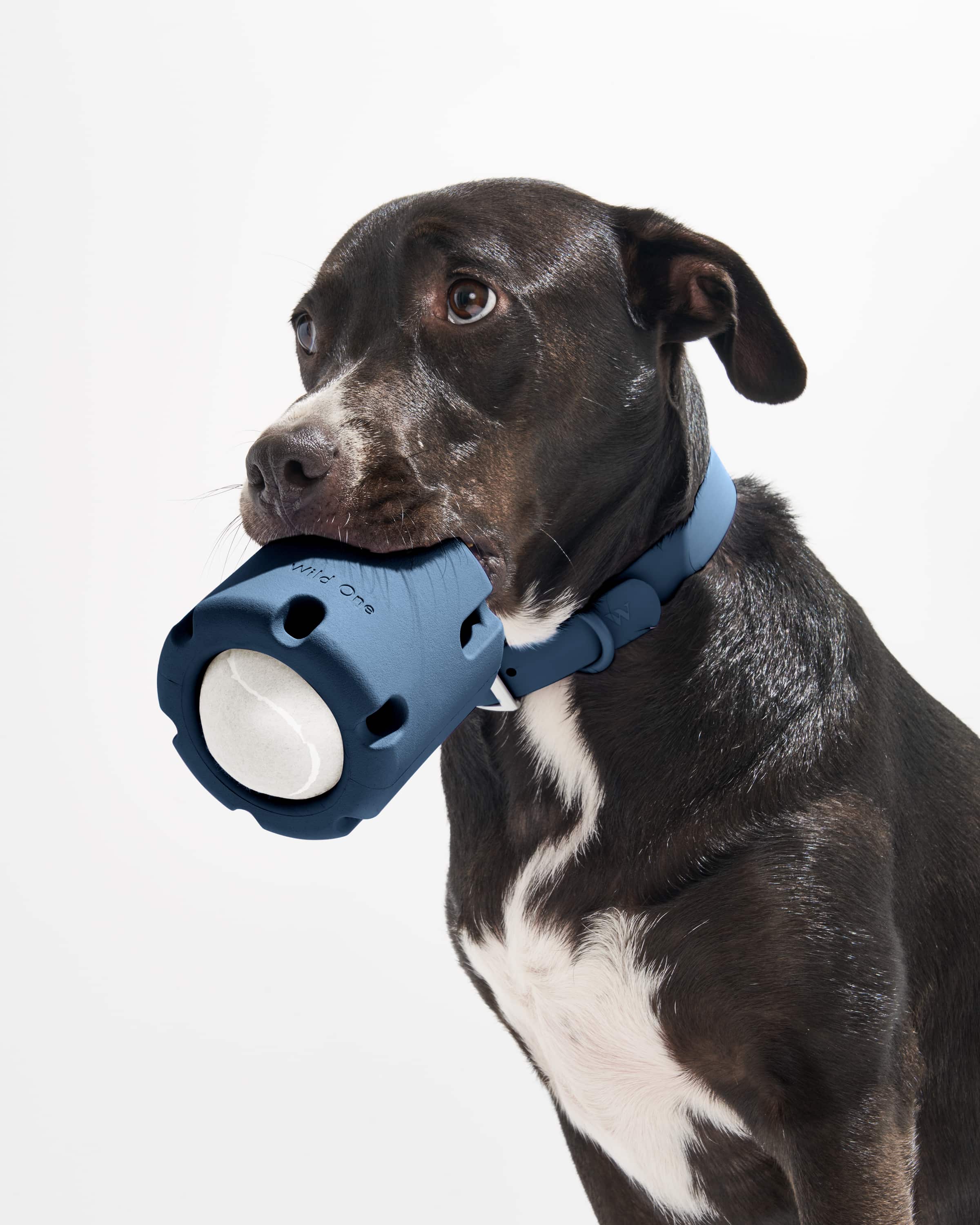 Tennis Tumble - Image 16