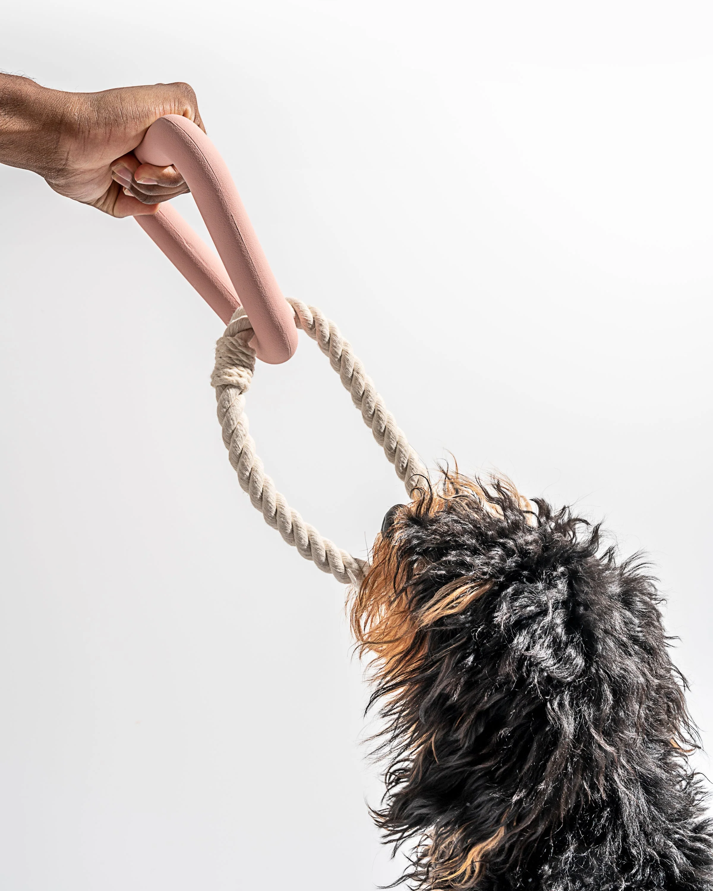 Triangle Tug - Image 17