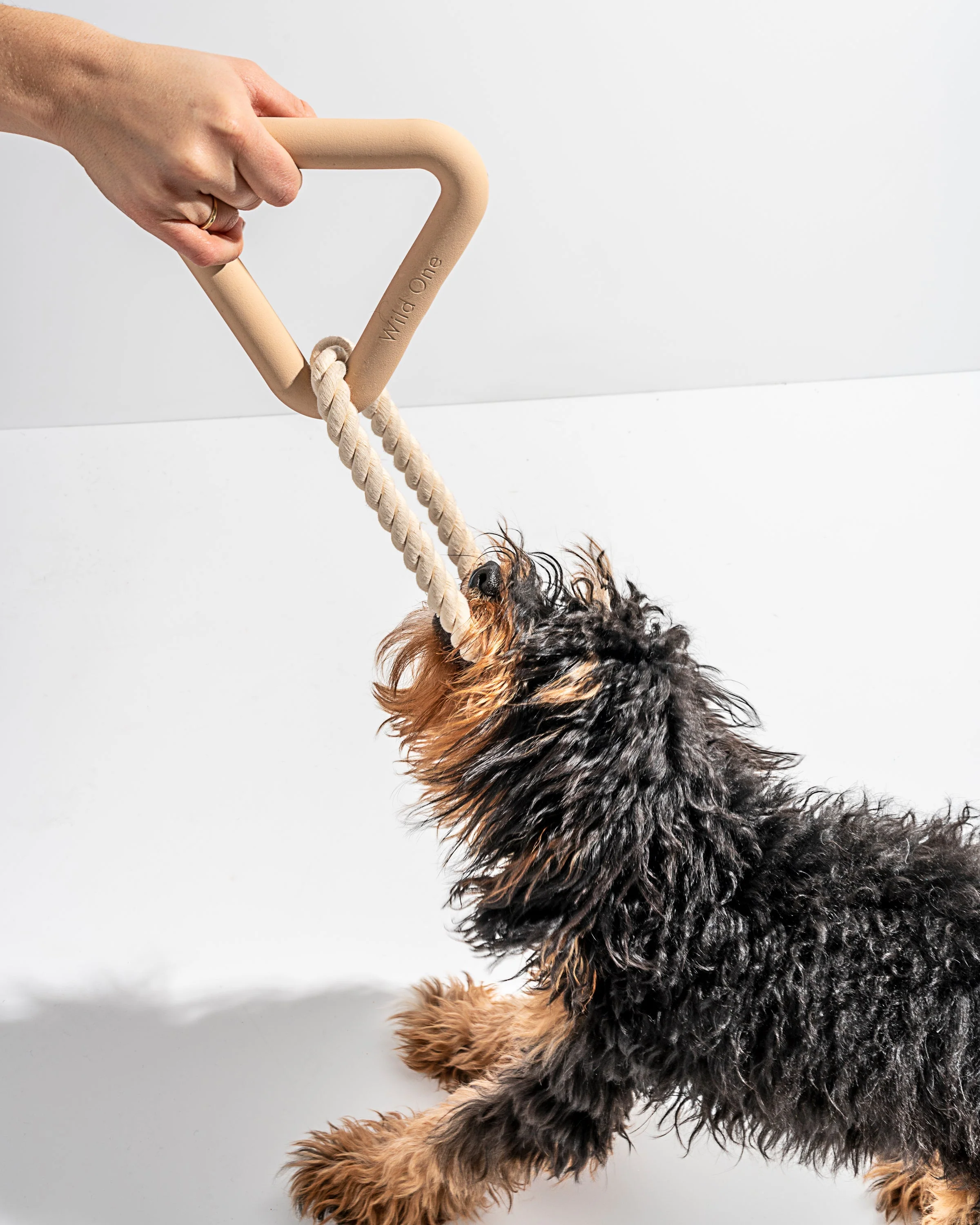 Triangle Tug - Image 22