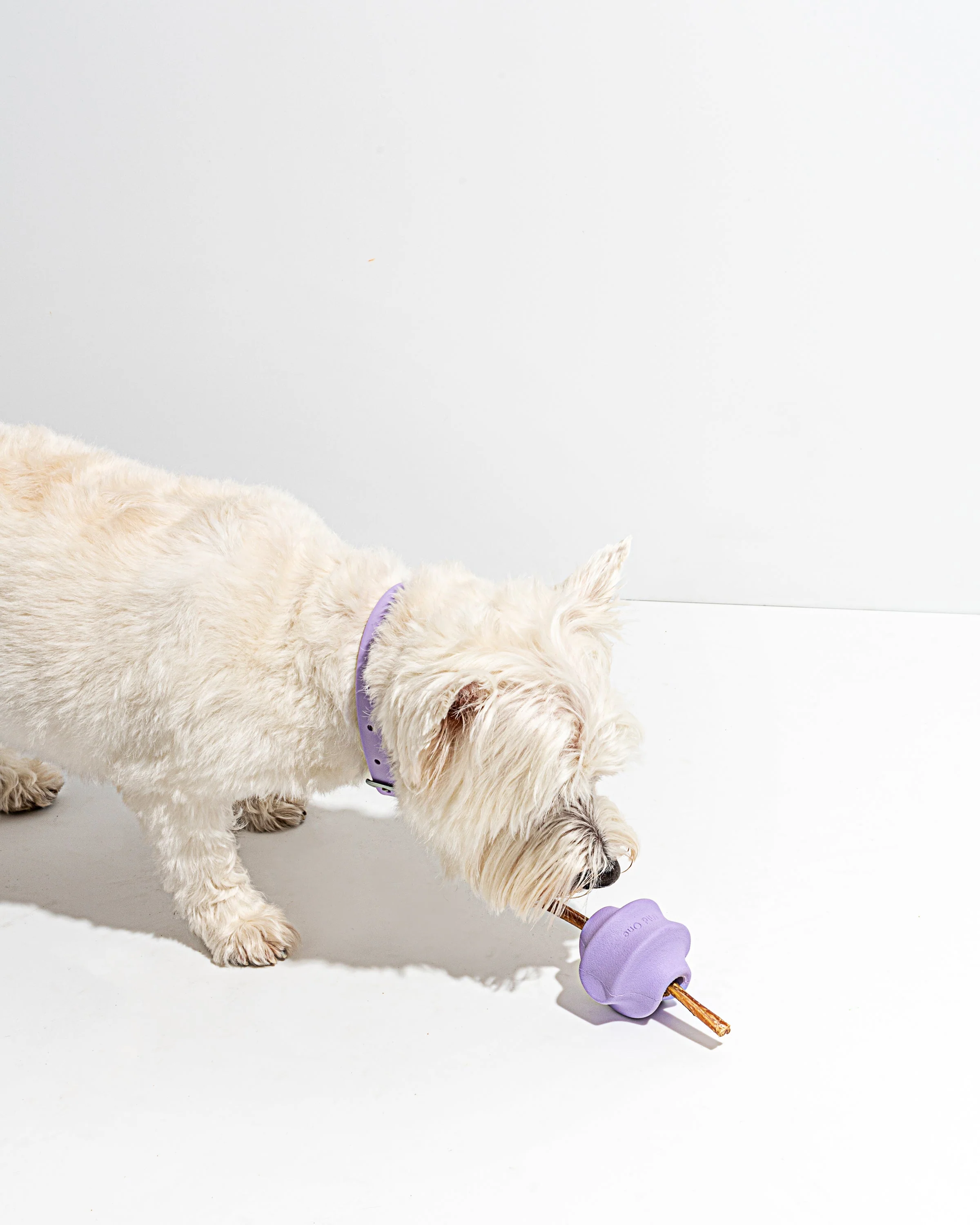 Twist Toss - Image 12