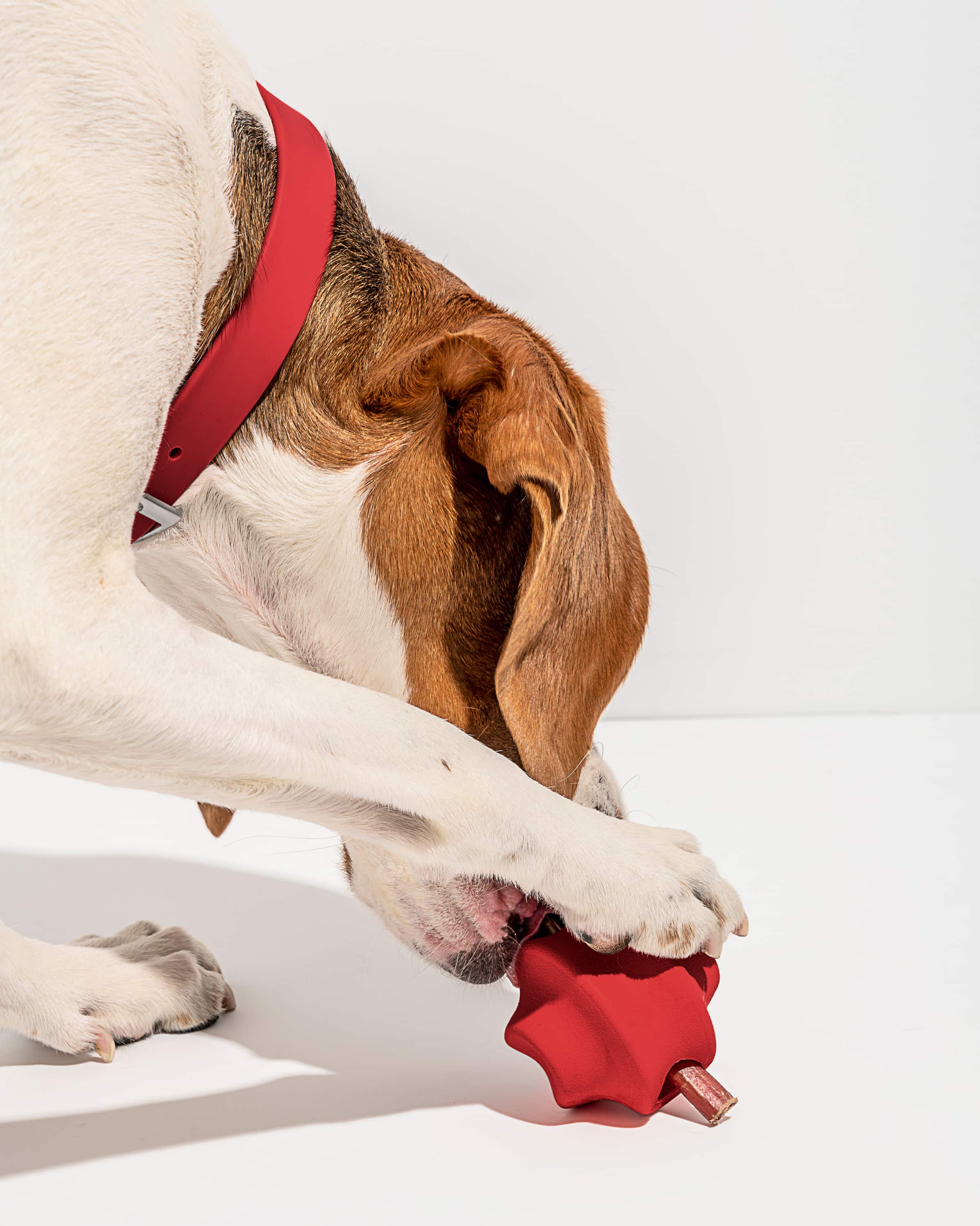 Twist Toss - Image 17