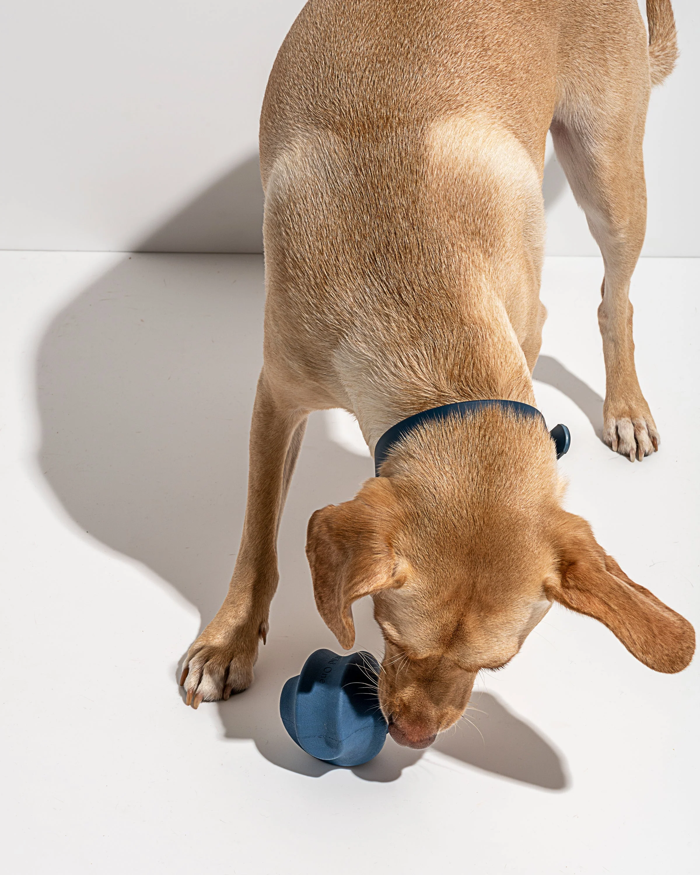 Twist Toss - Image 22