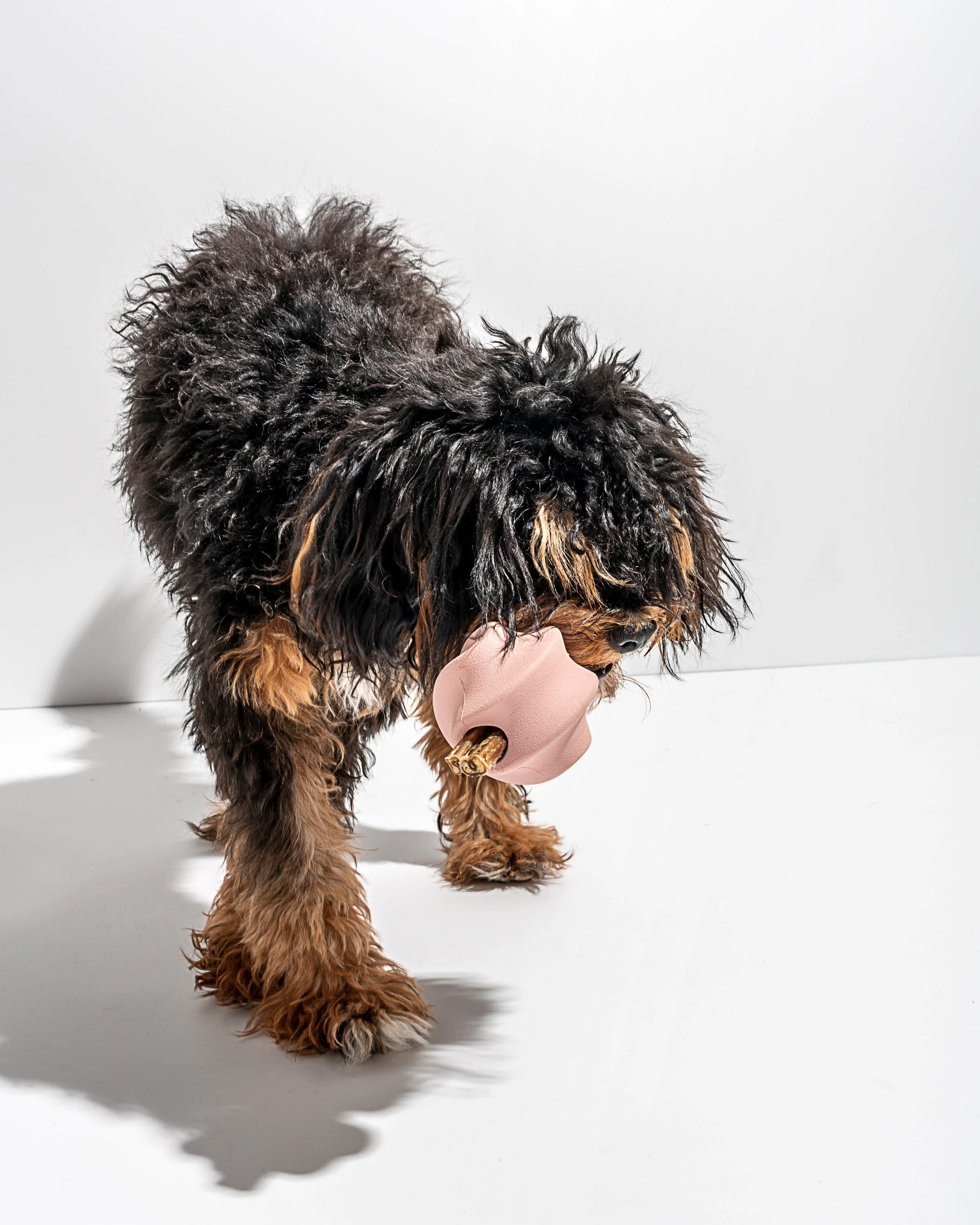 Twist Toss - Image 27