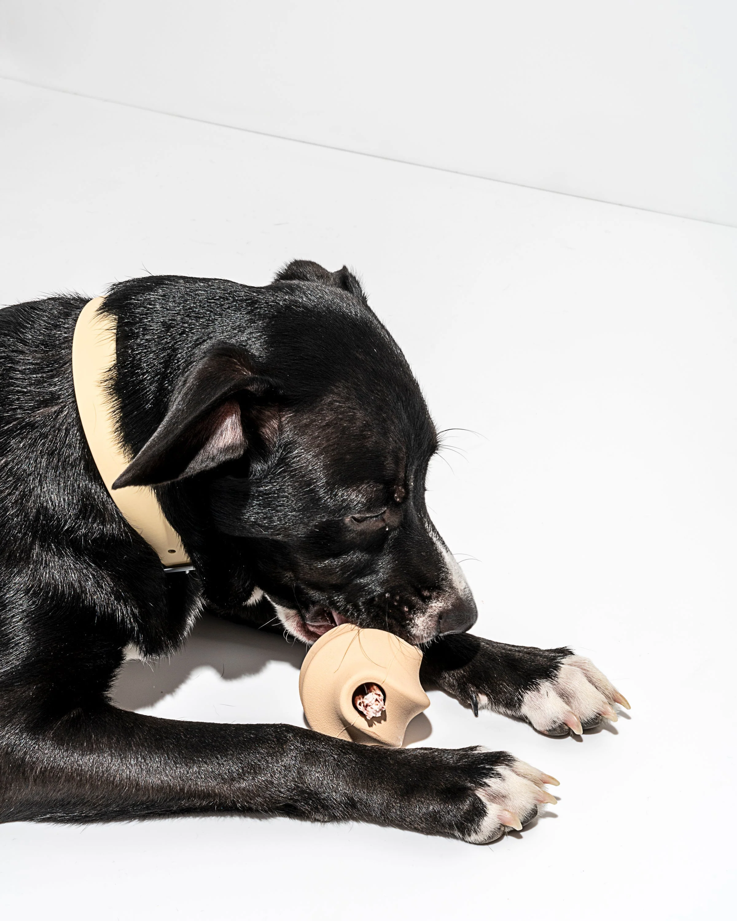 Twist Toss - Image 32