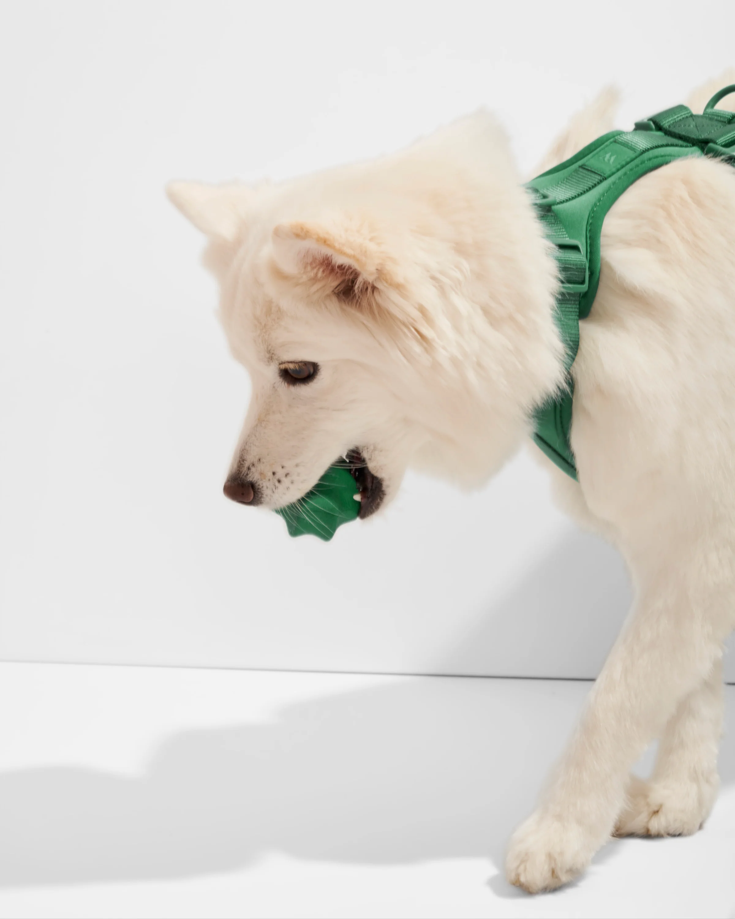 Twist Toss - Image 7