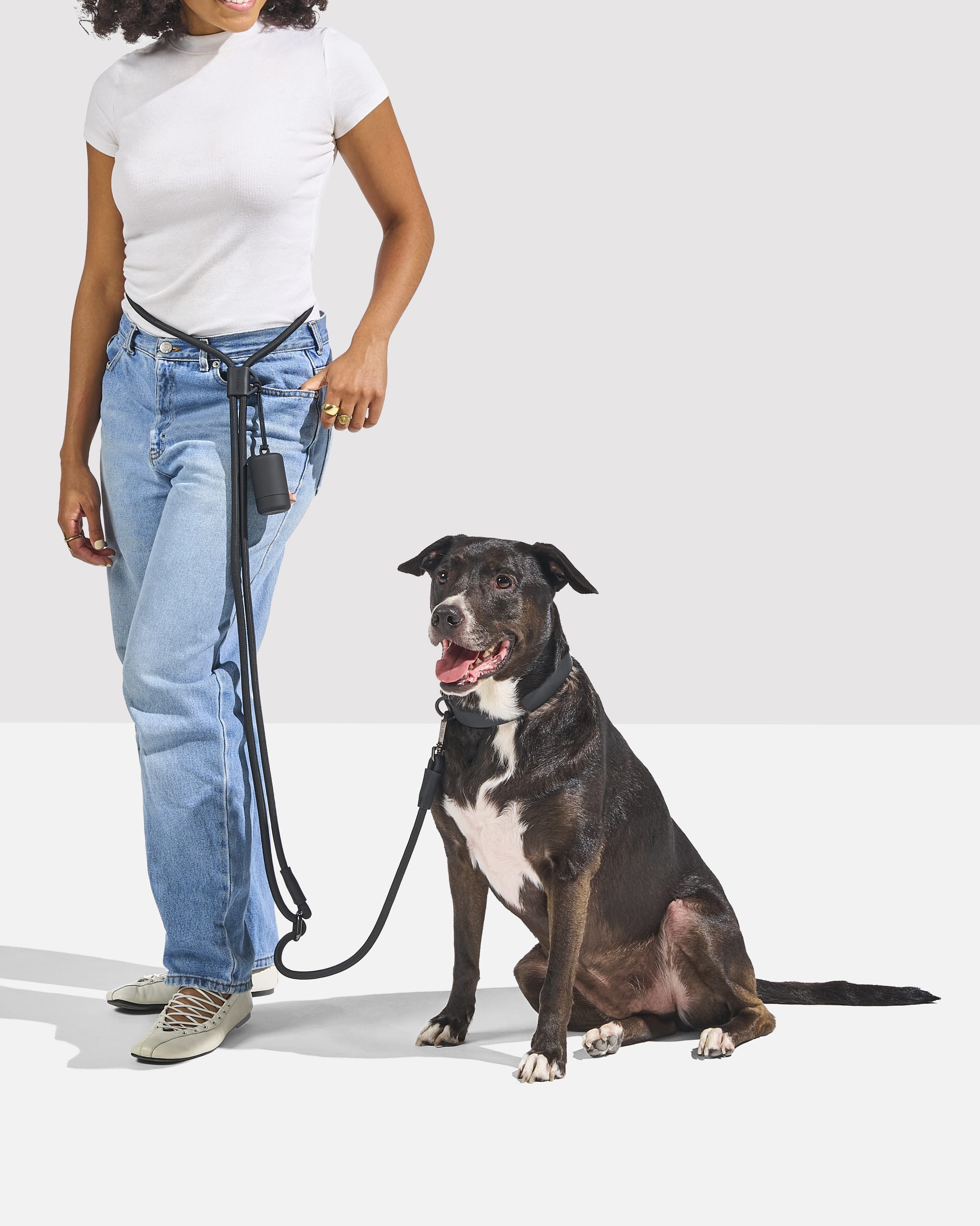 Waterproof Collar + Hands-Free Rope Leash Walk Kit - Image 4