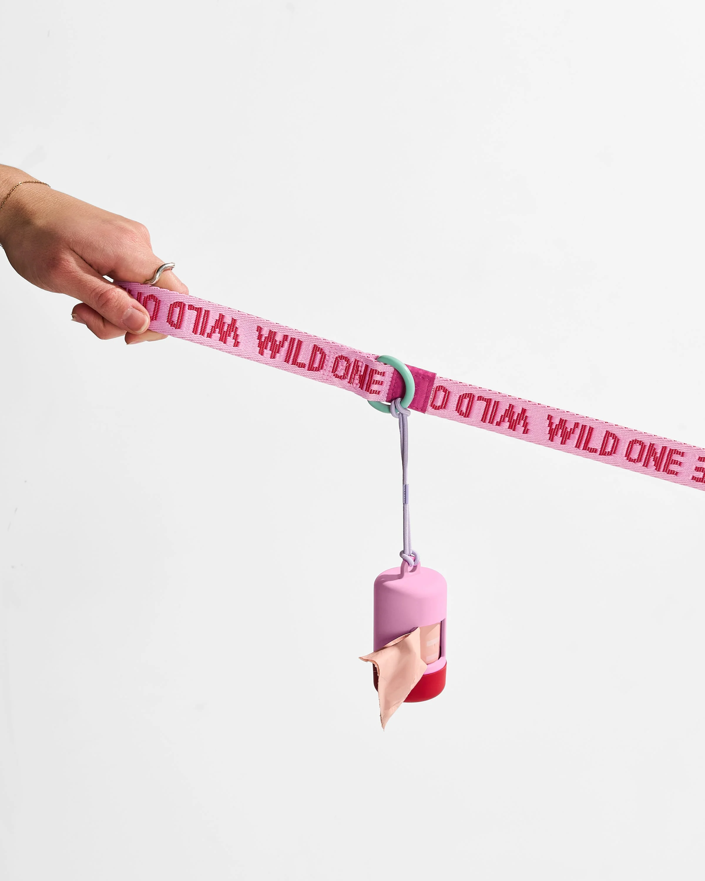 Waterproof Collar + Lightweight Leash Walk Kit - Image 5