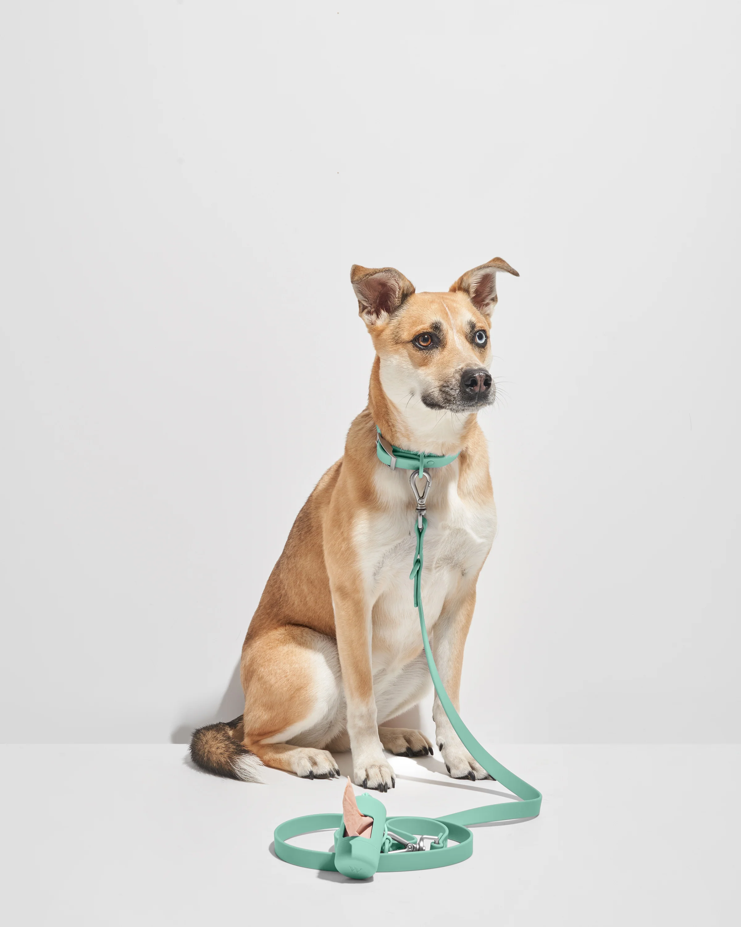 Waterproof Dog Collar - Image 103