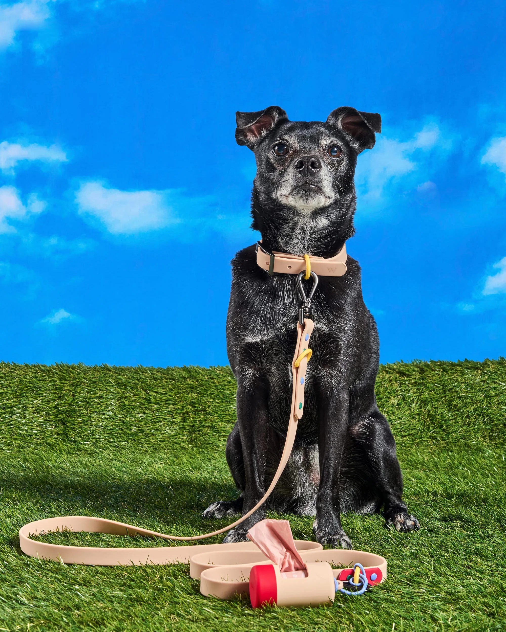 Waterproof Dog Collar - Image 106