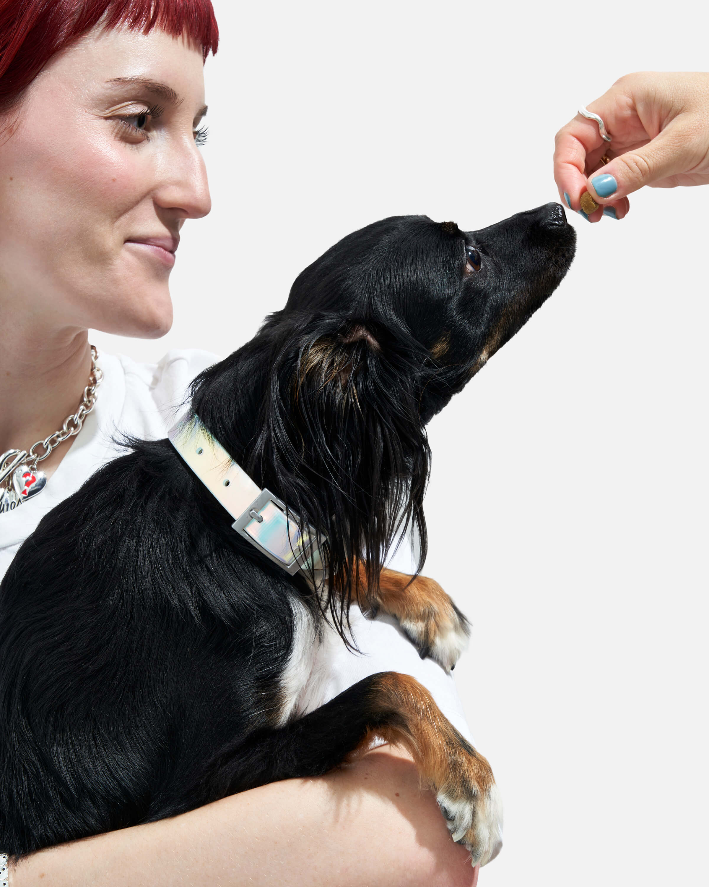 Waterproof Dog Collar - Image 17