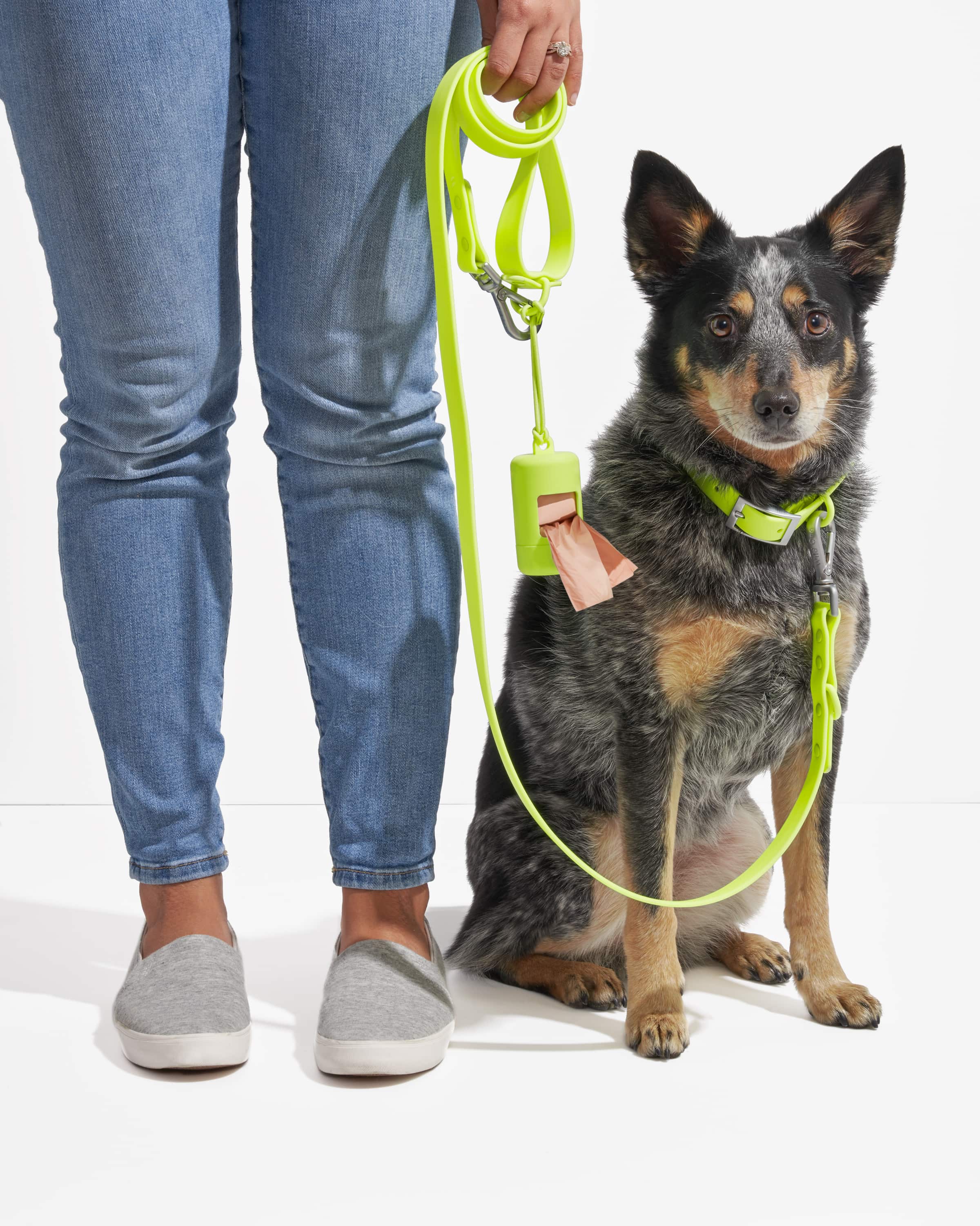 Waterproof Dog Collar - Image 32