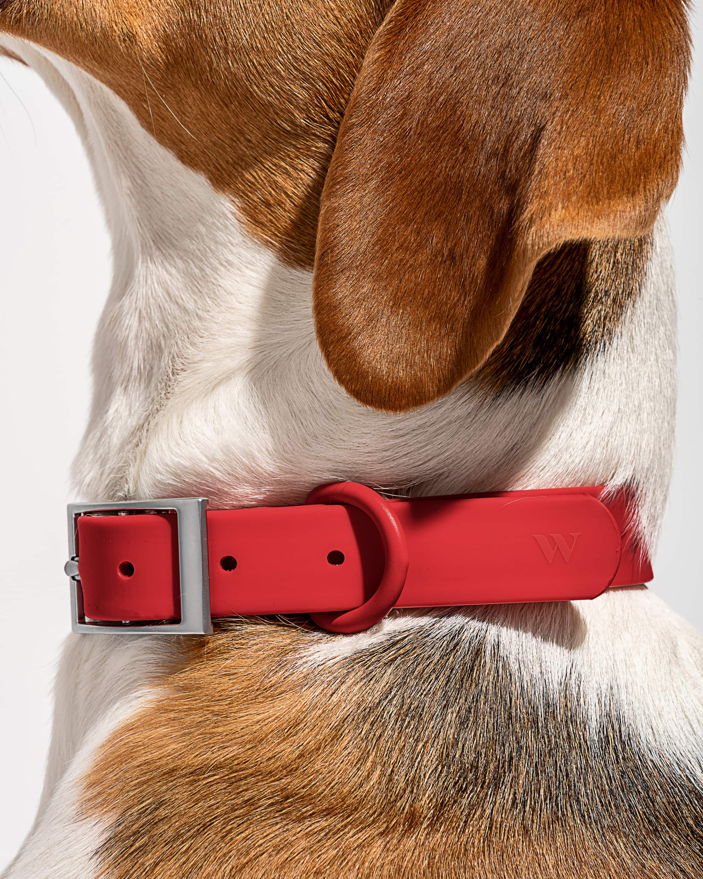 Waterproof Dog Collar - Image 36