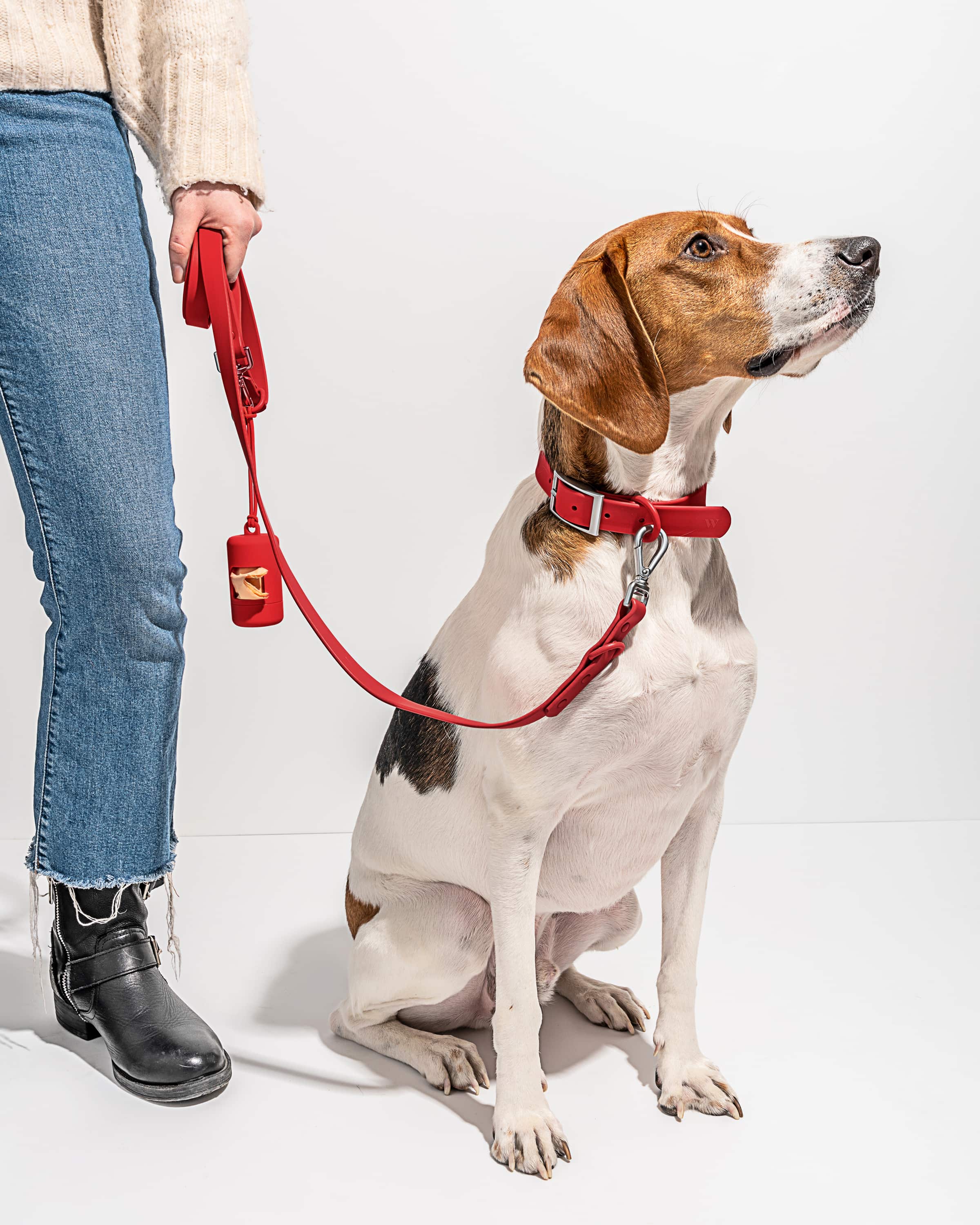 Waterproof Dog Collar - Image 37