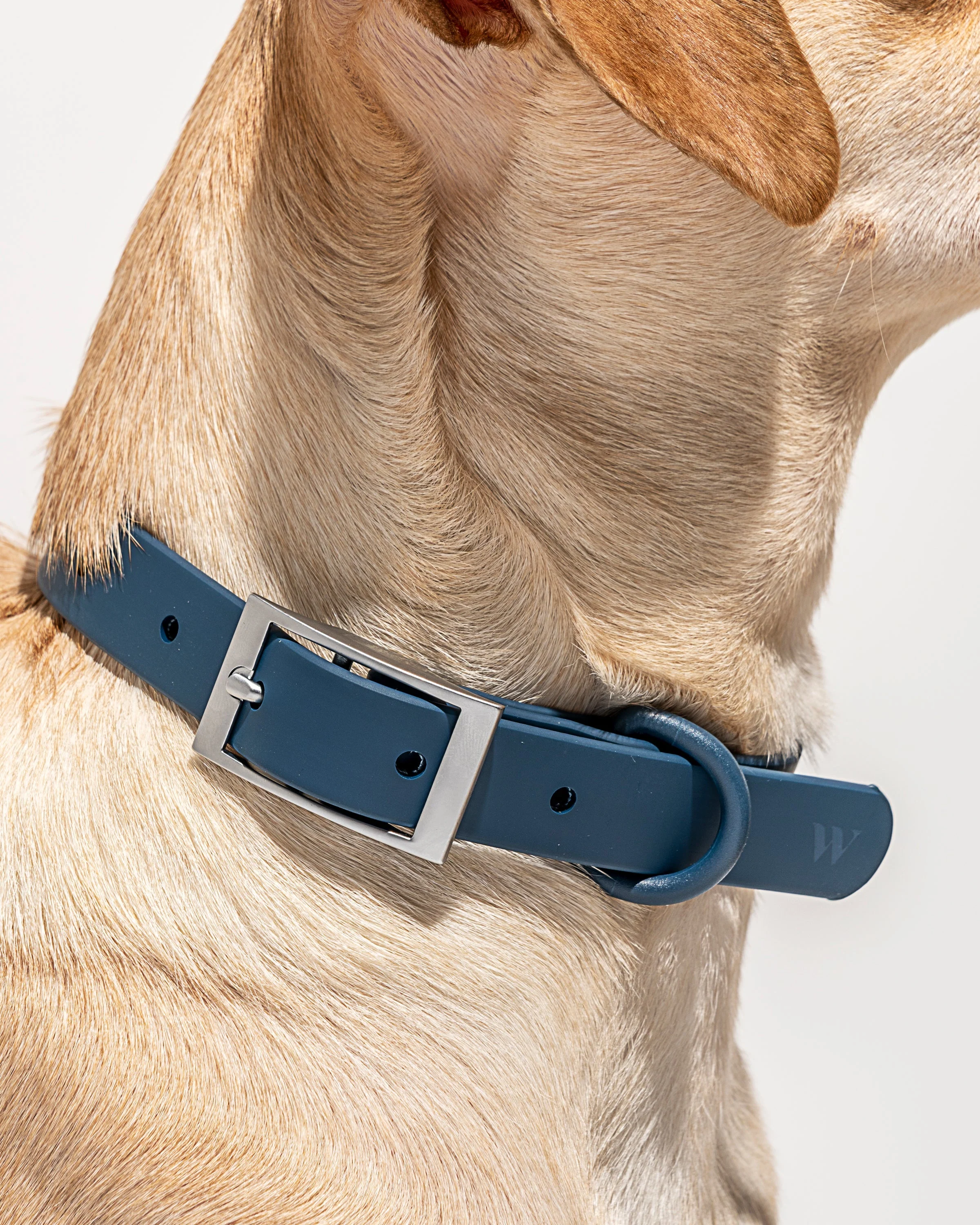 Waterproof Dog Collar - Image 43