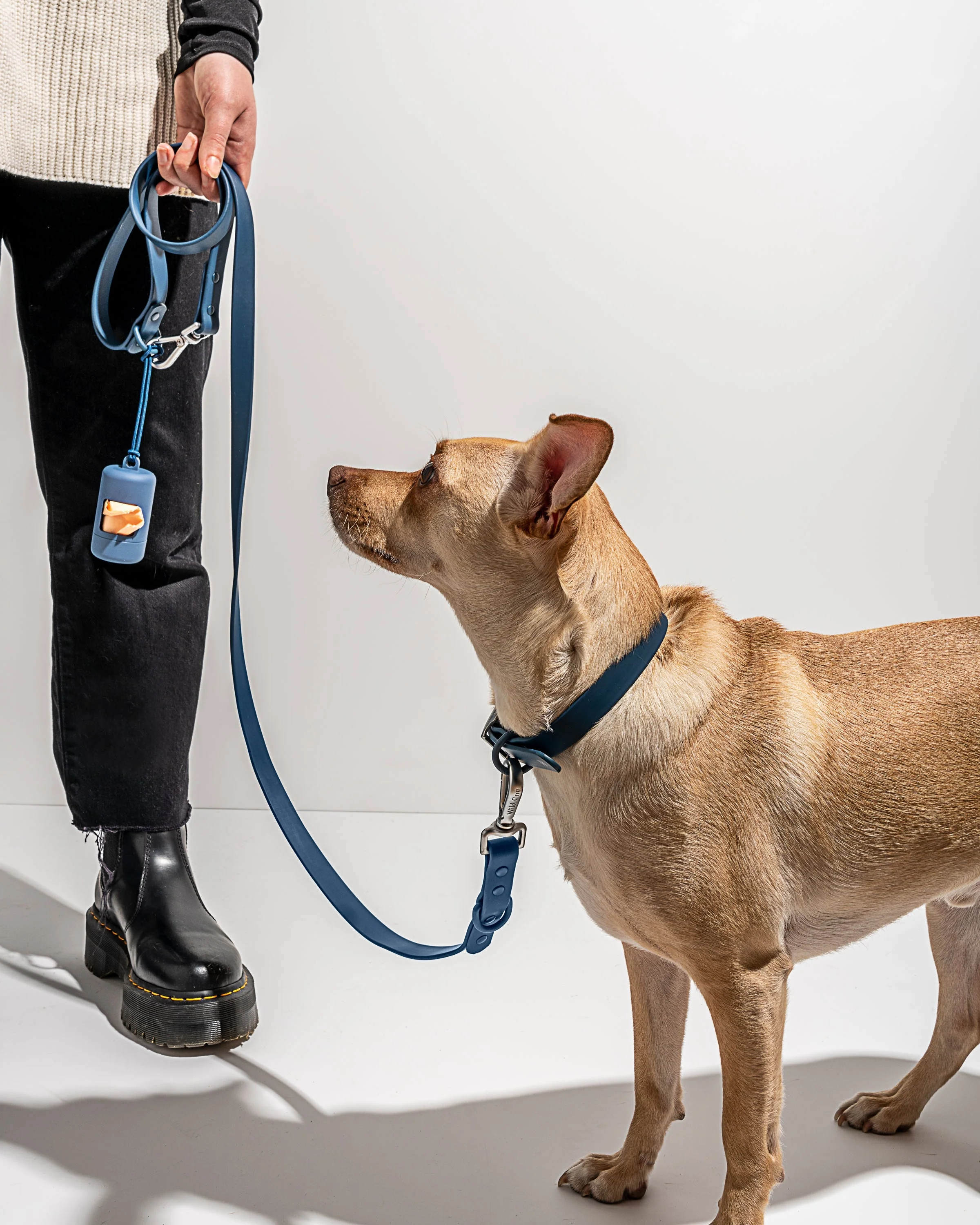 Waterproof Dog Collar - Image 45