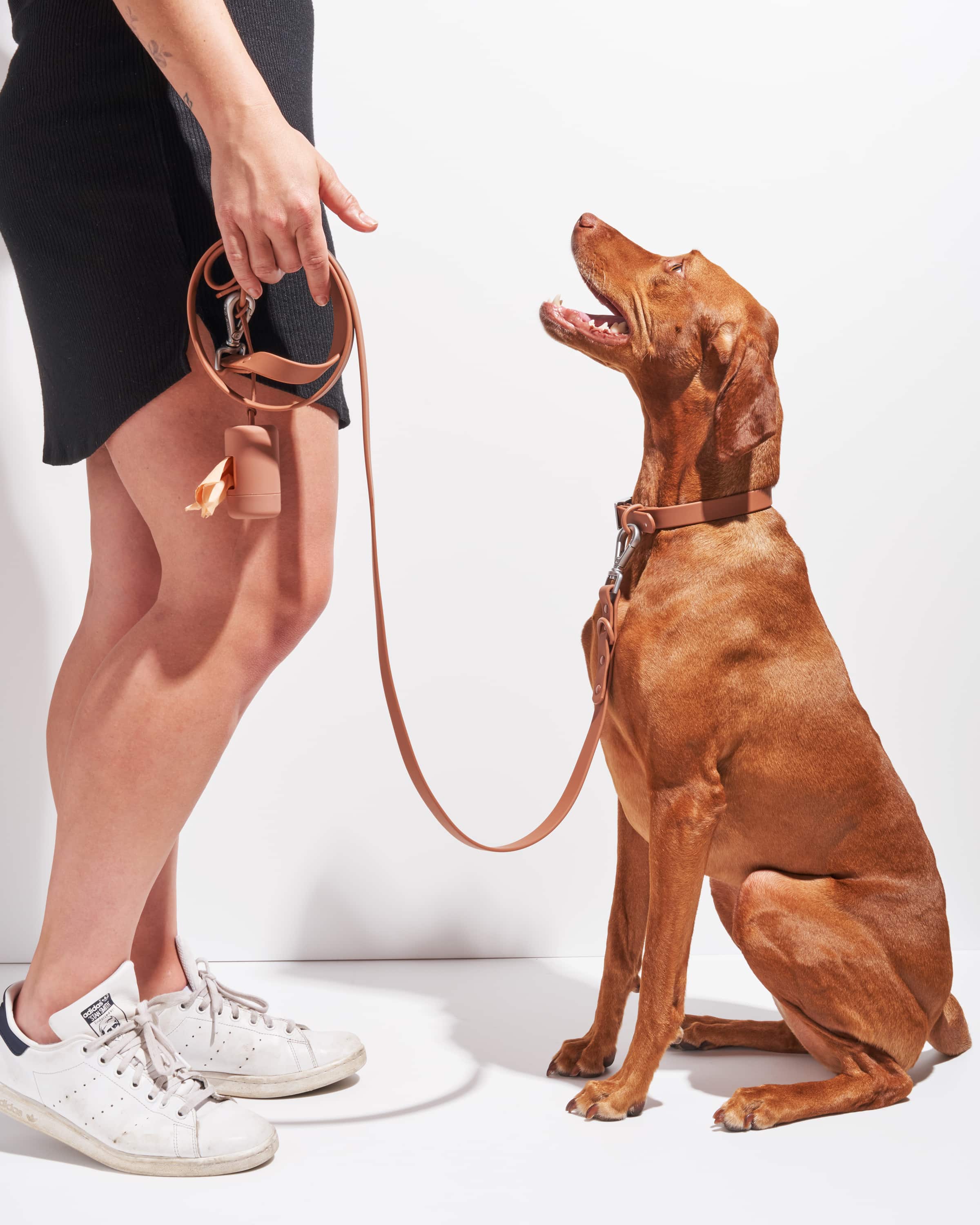 Waterproof Dog Collar - Image 50