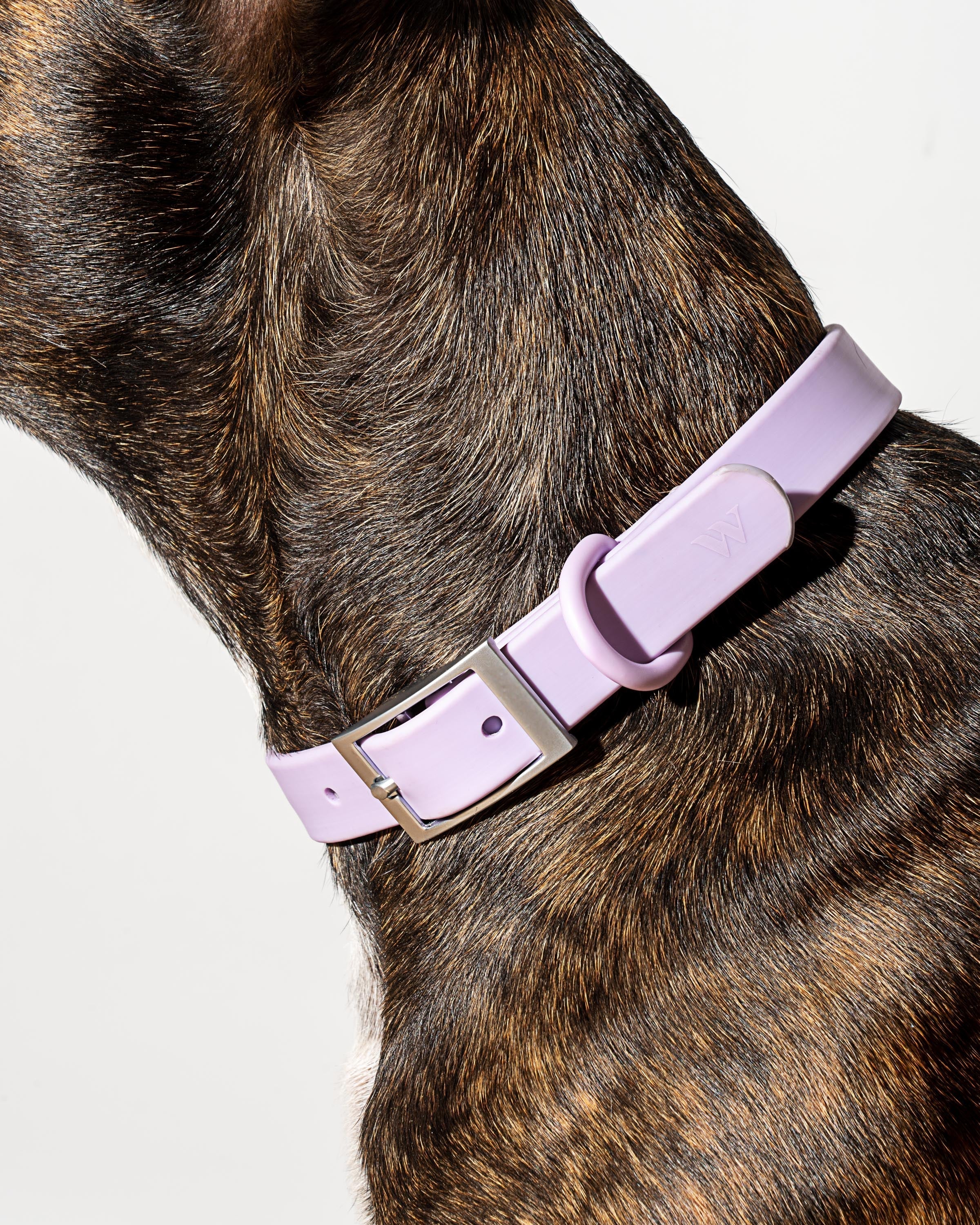 Waterproof Dog Collar - Image 52