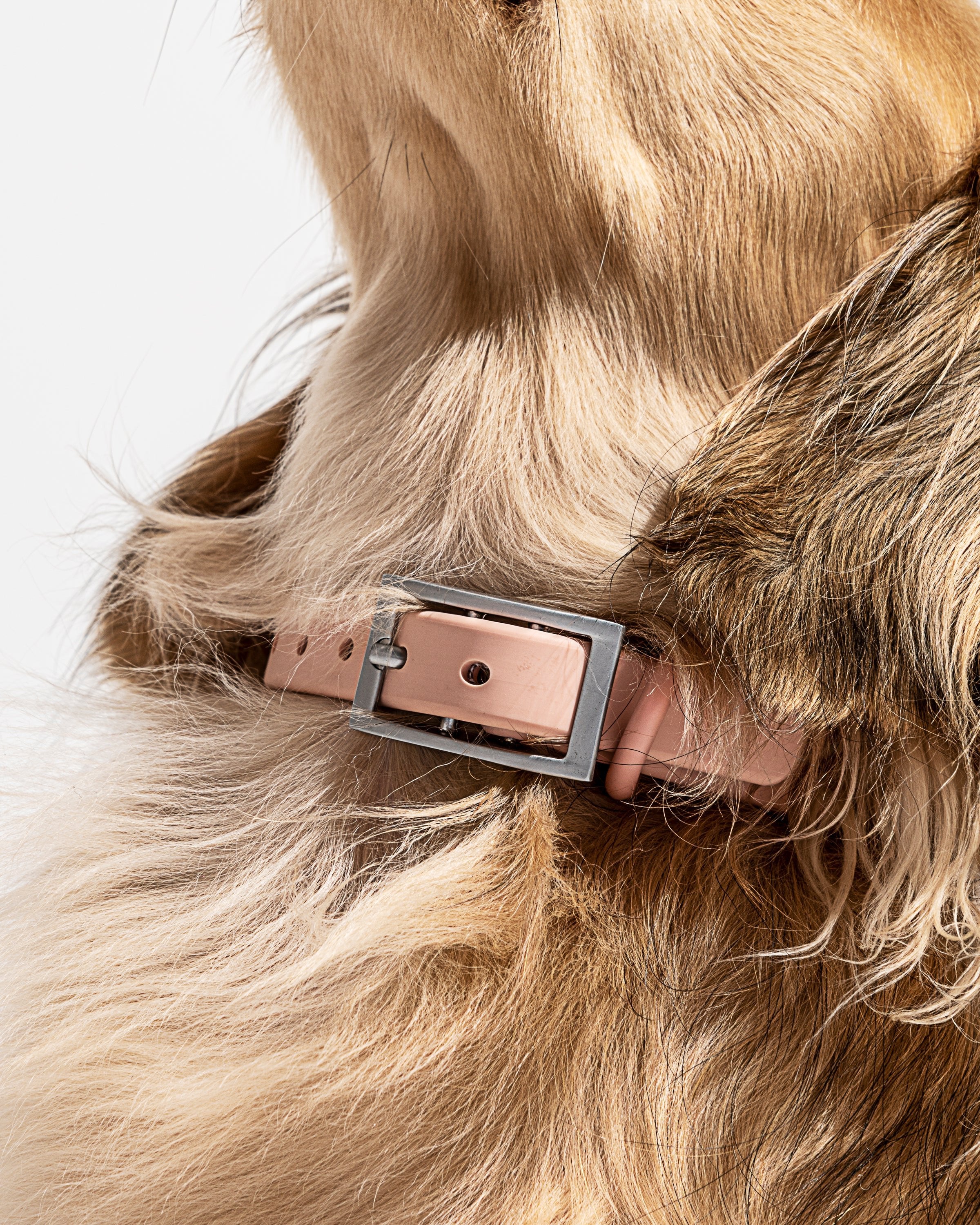 Waterproof Dog Collar - Image 58