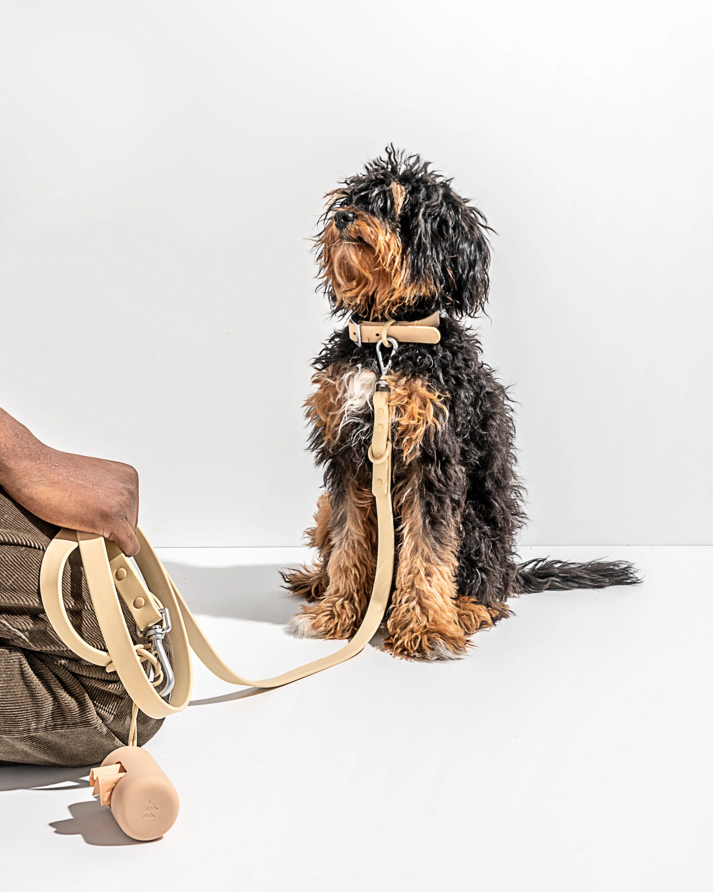 Waterproof Dog Collar - Image 62