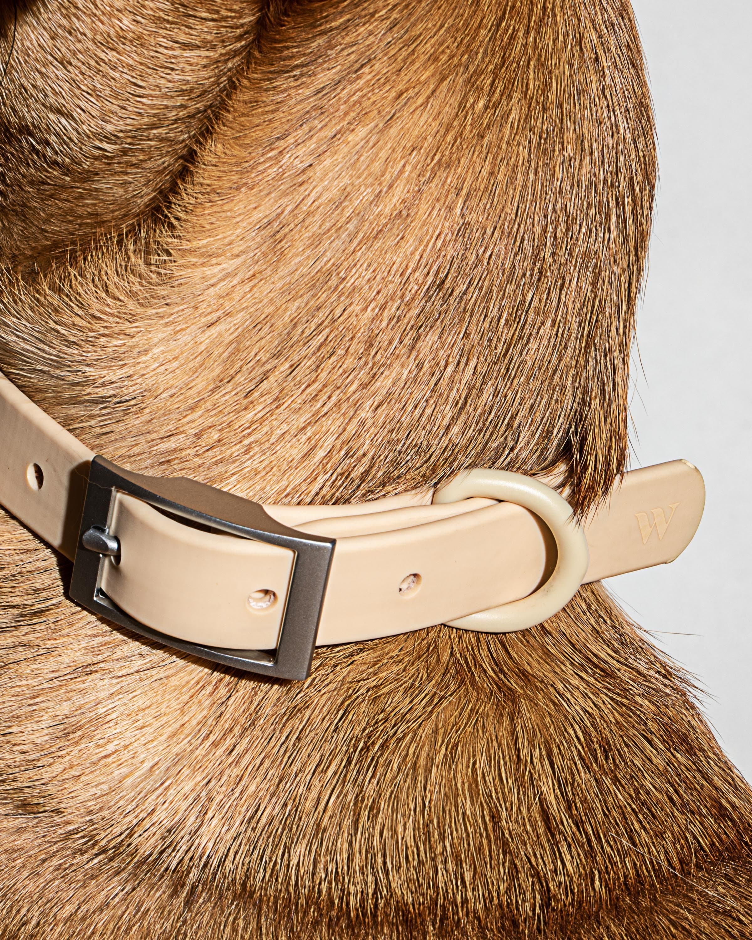 Waterproof Dog Collar - Image 63
