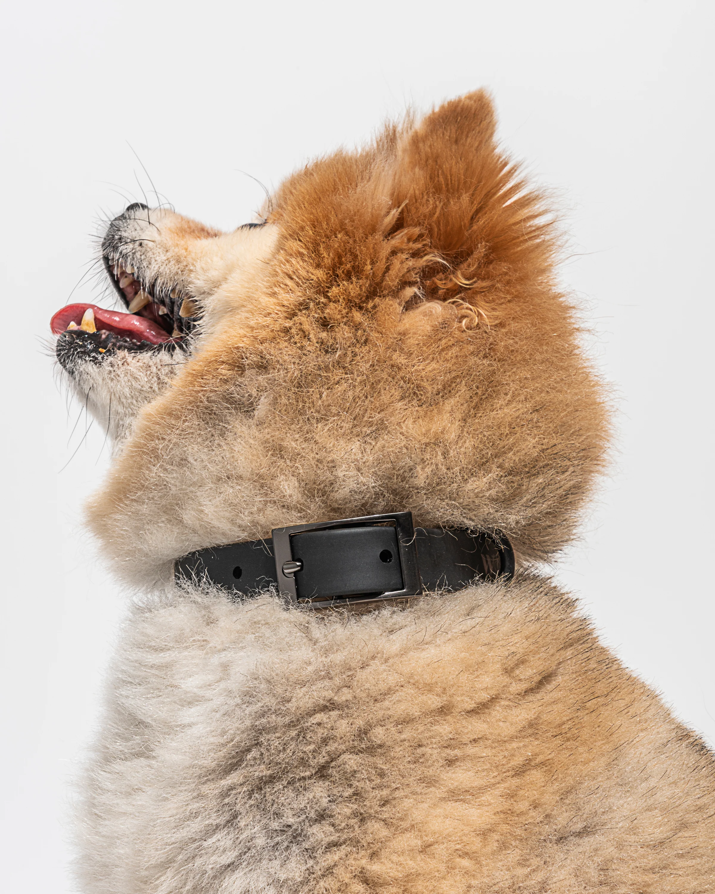 Waterproof Dog Collar - Image 65