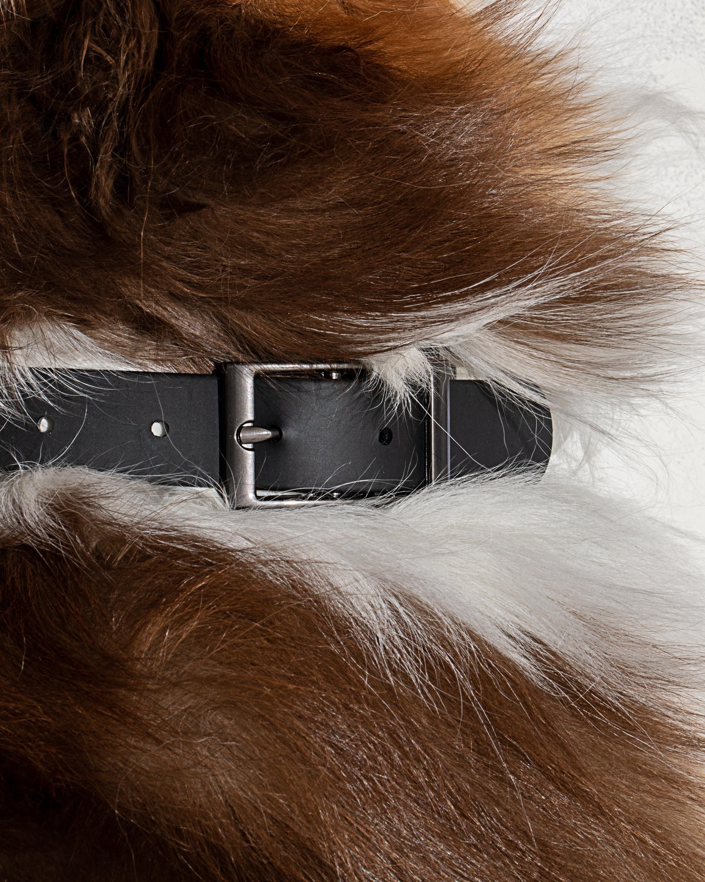 Waterproof Dog Collar - Image 67