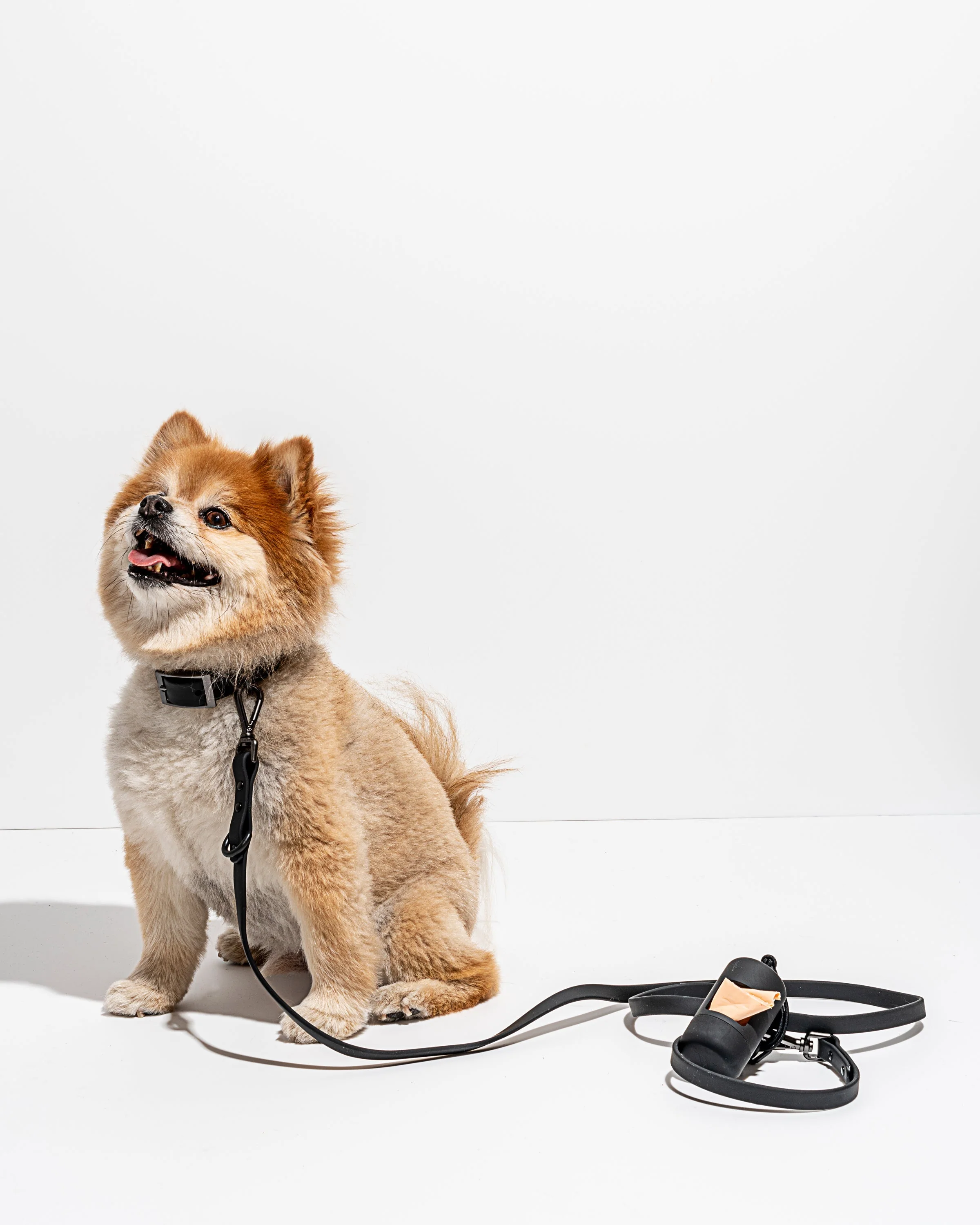 Waterproof Dog Collar - Image 68