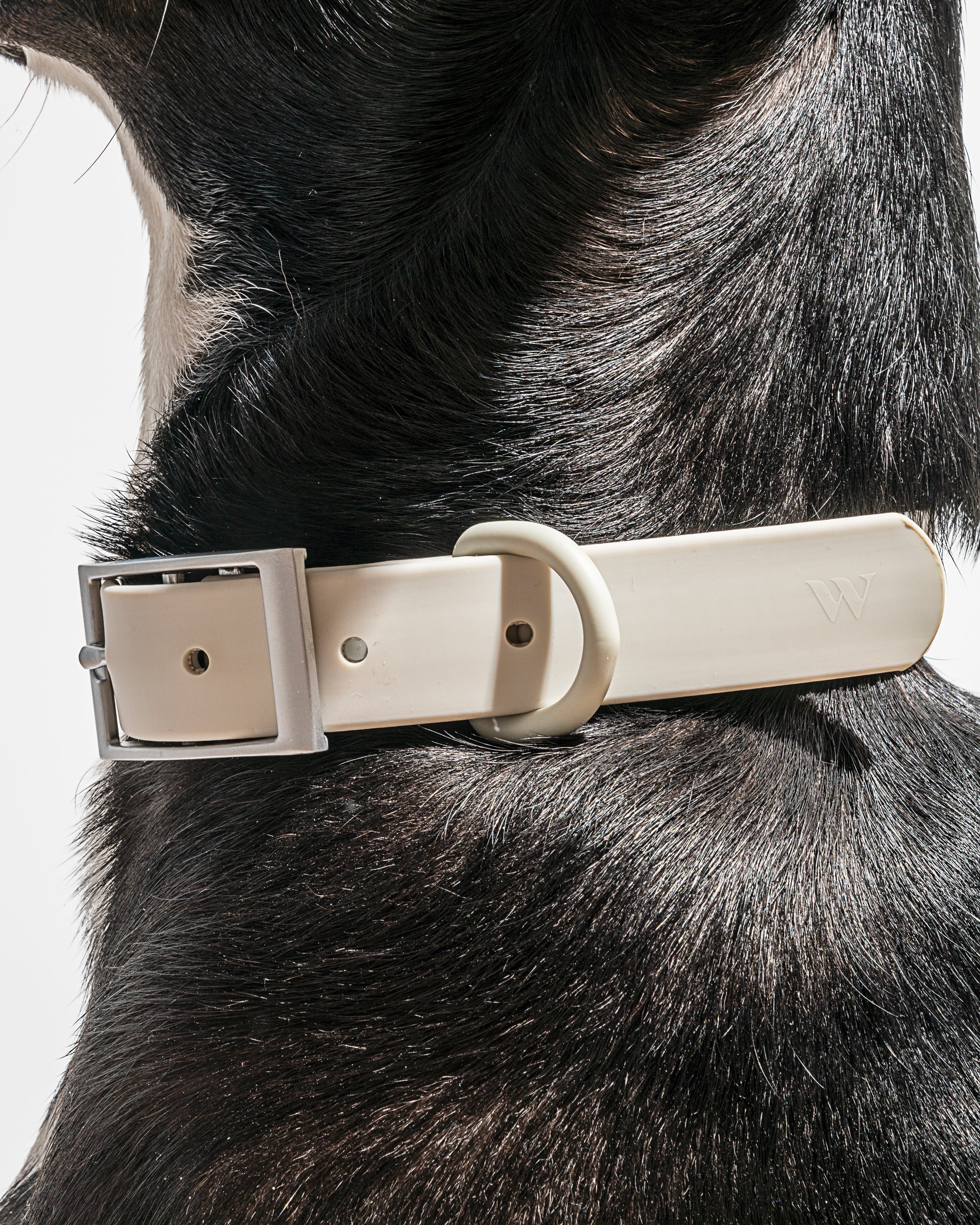 Waterproof Dog Collar - Image 71