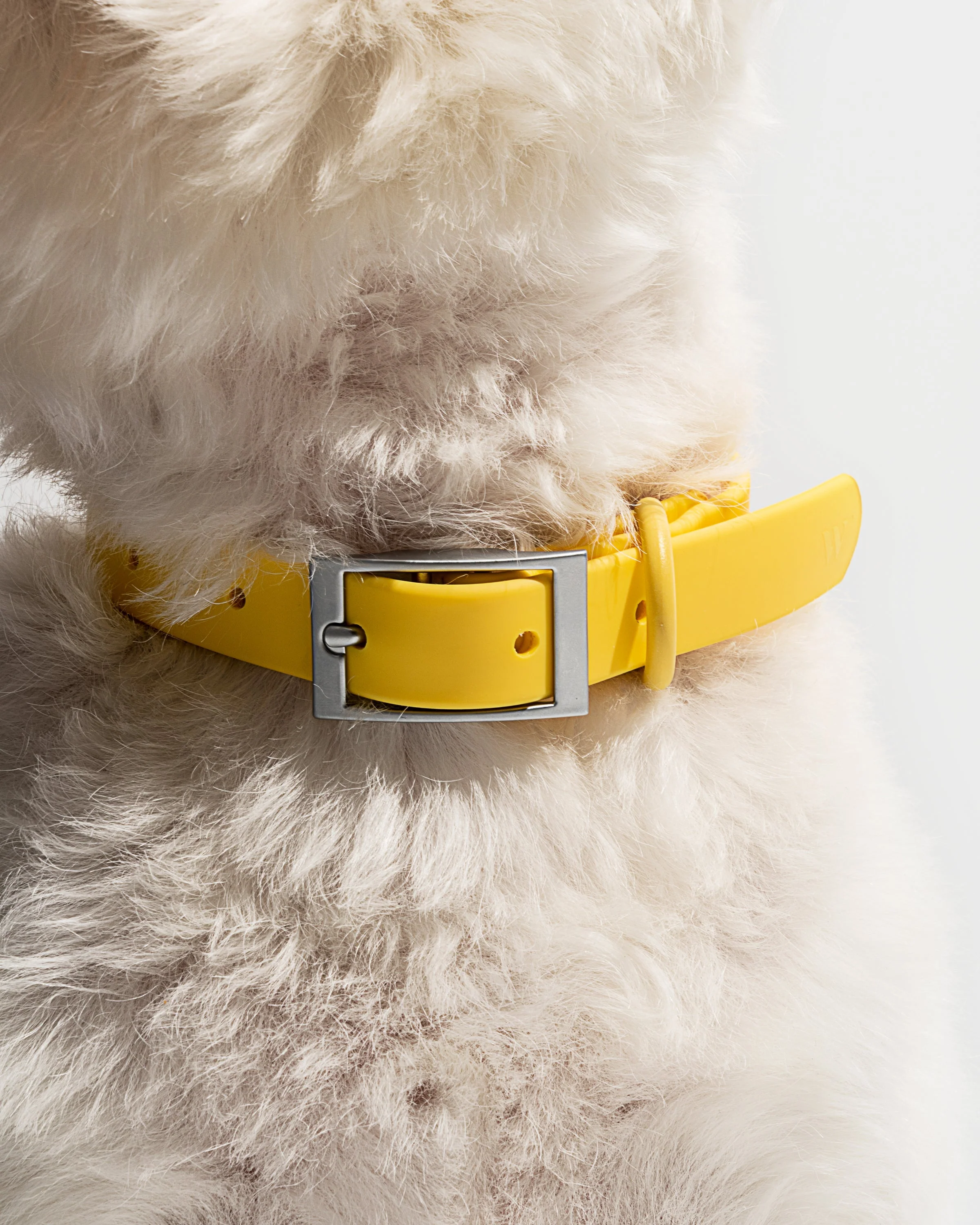 Waterproof Dog Collar - Image 78